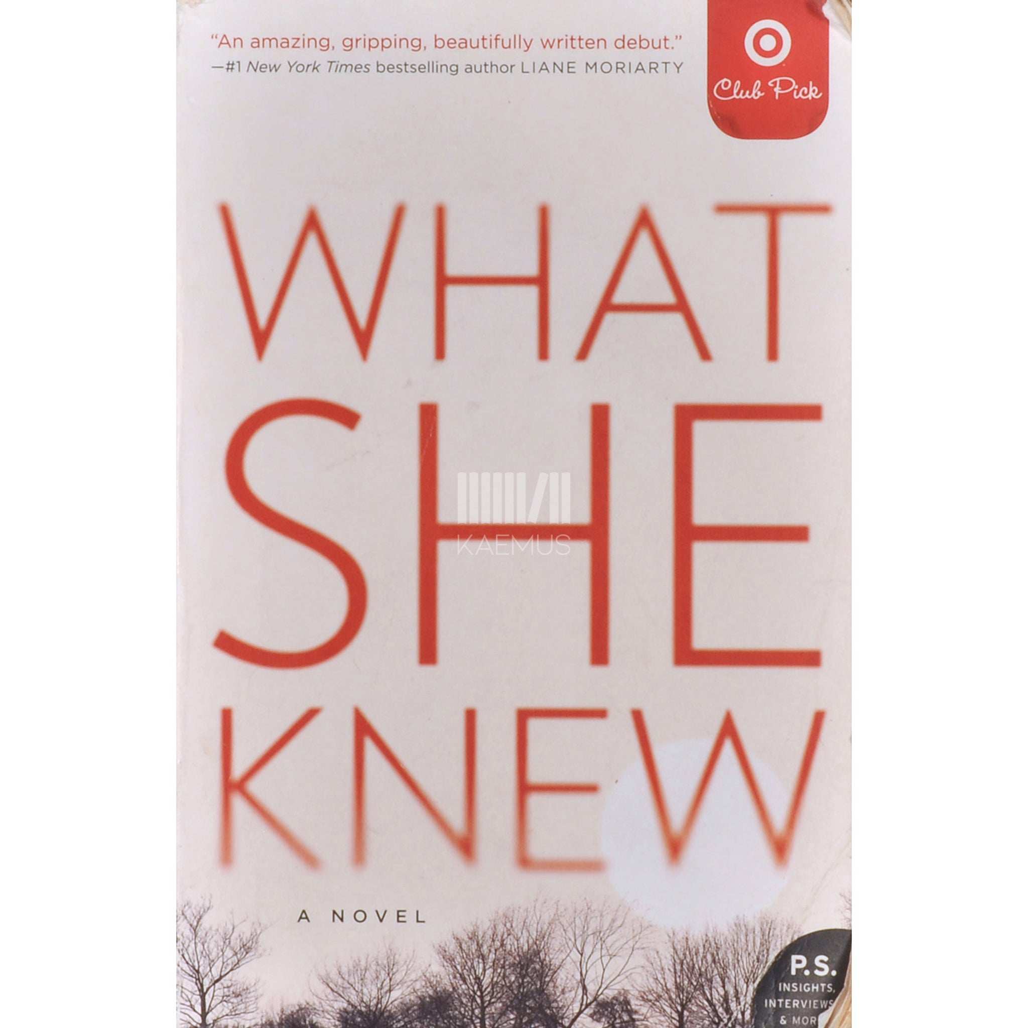 Gilly Macmillan What She Knew