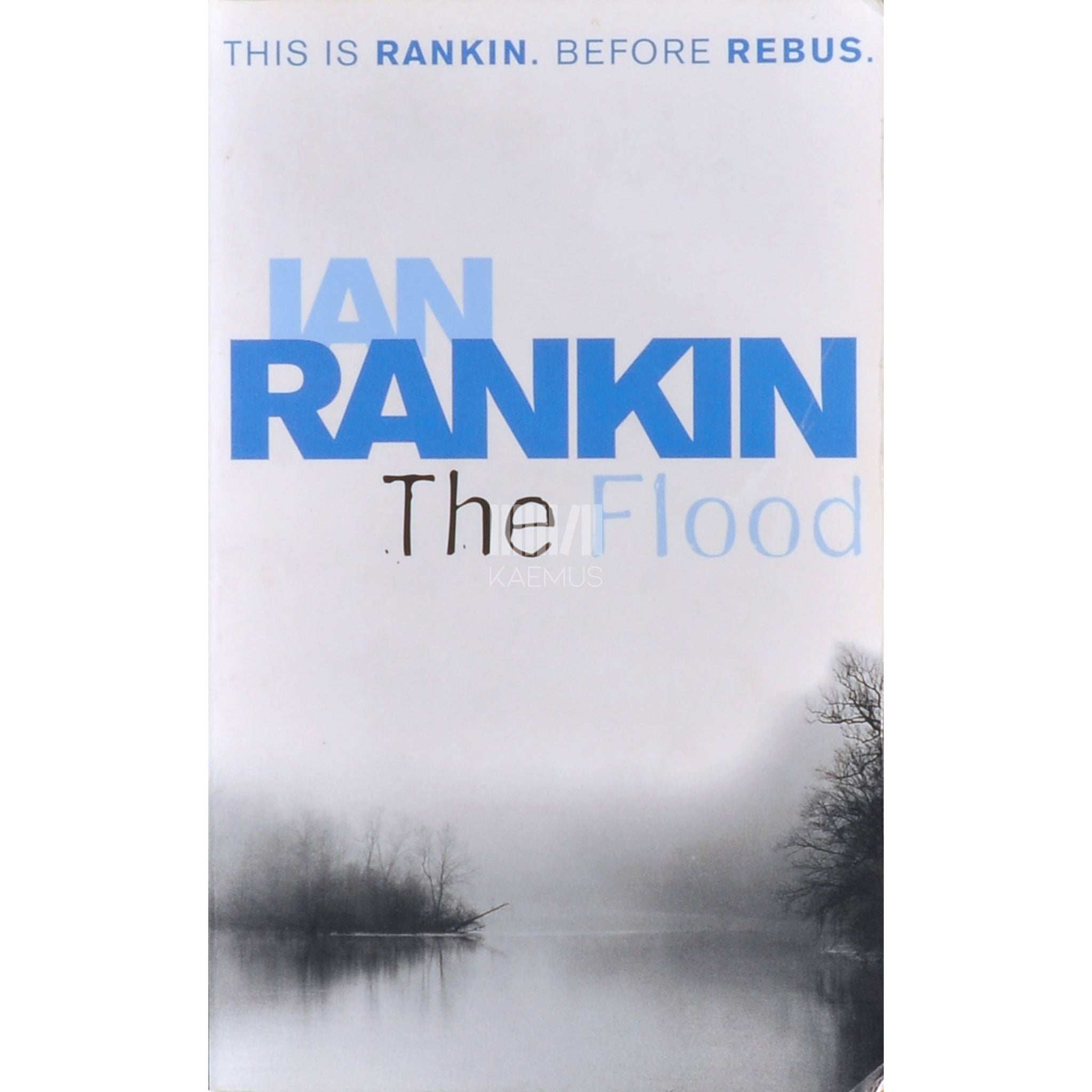 Ian Rankin The Flood