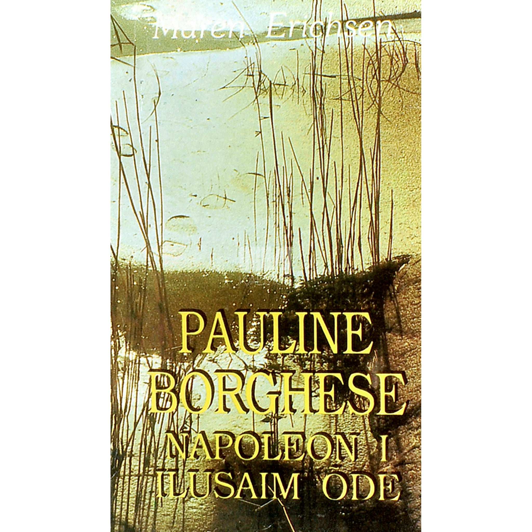 Maren Erichsen Pauline Borghese. Napoleon I ilusaim õde