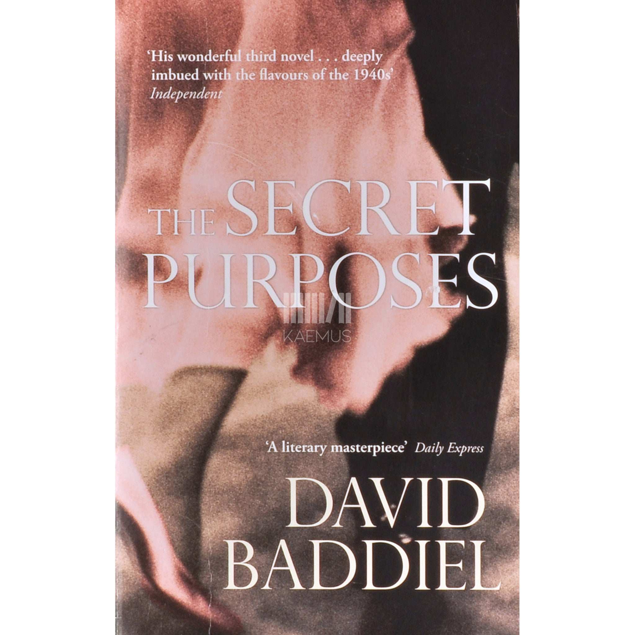 David Baddiel The Secret Purposes