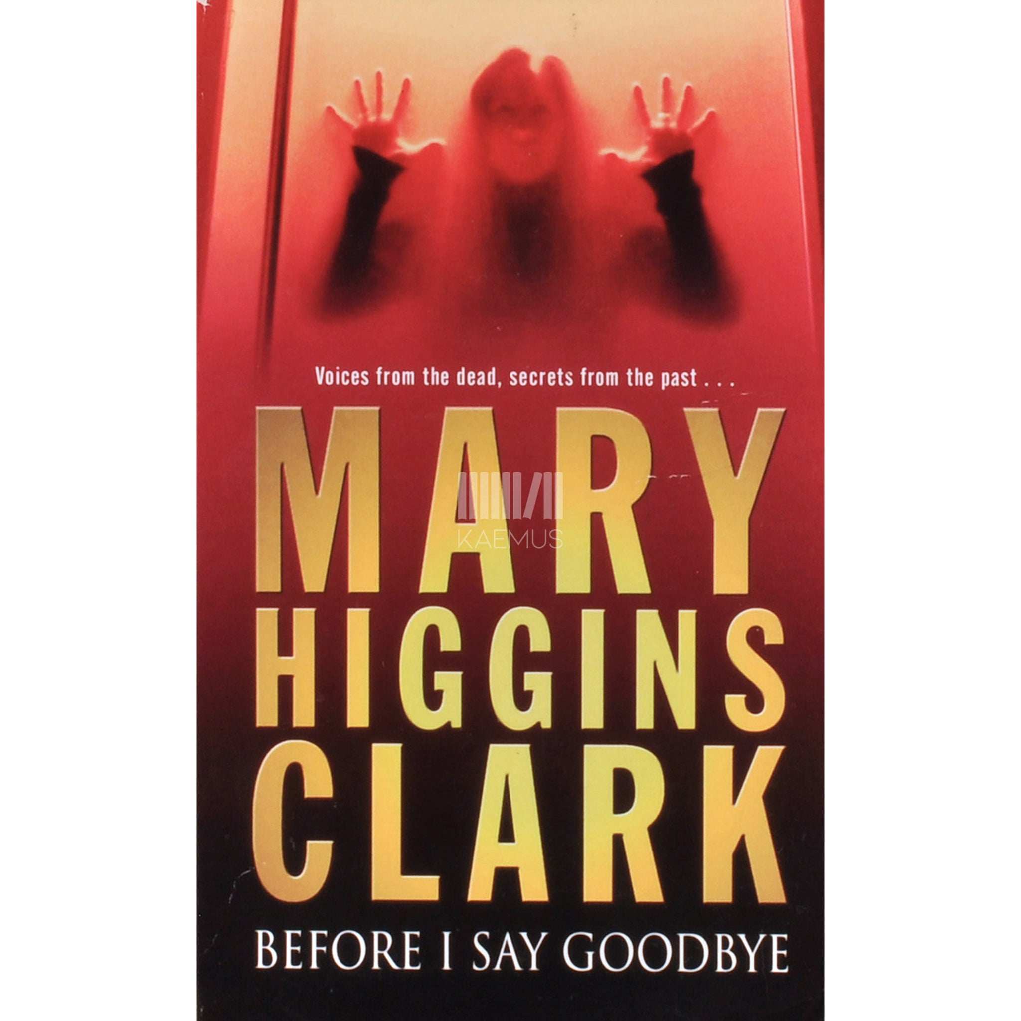 Mary Higgins Clark Before I Say Goodbye