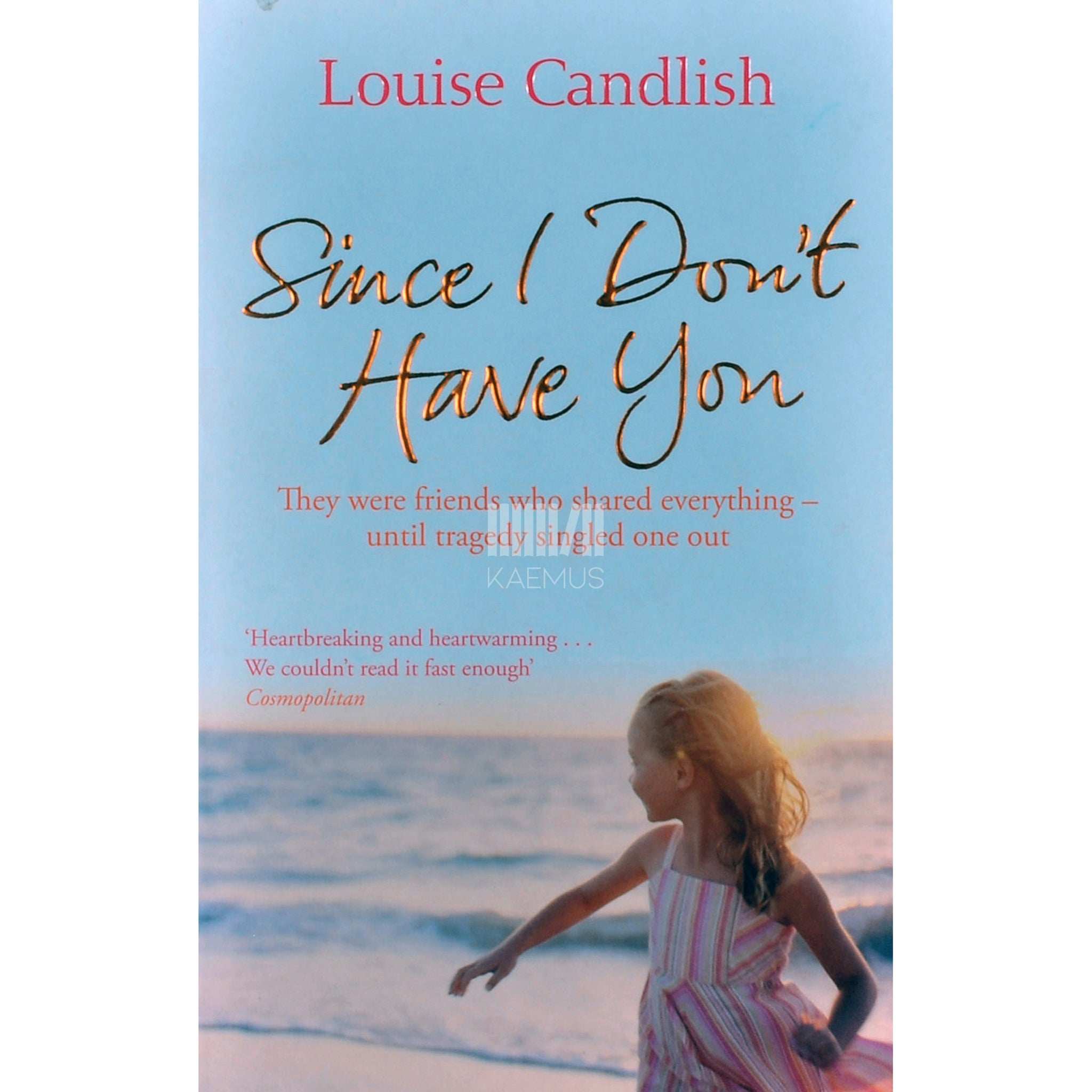 Louise Candlish Since I Don't Have You