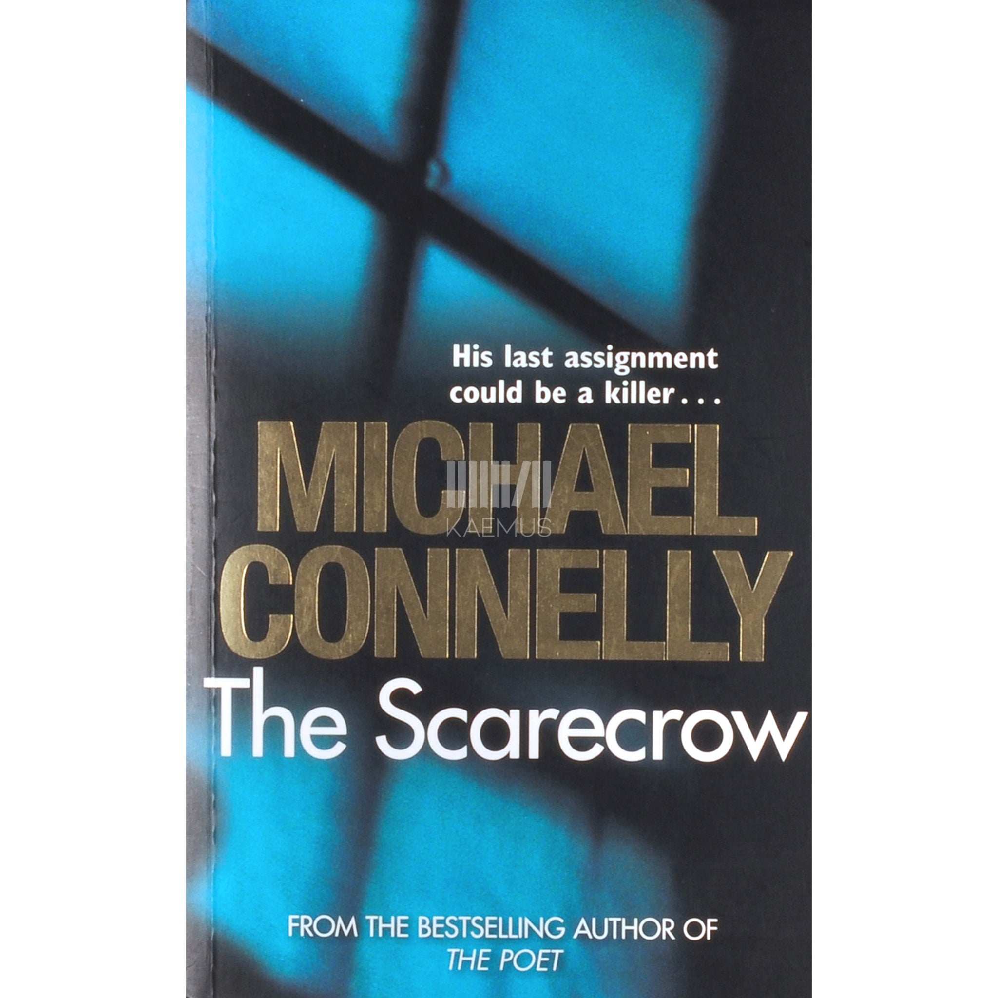 Michael Connelly The Scarecrow