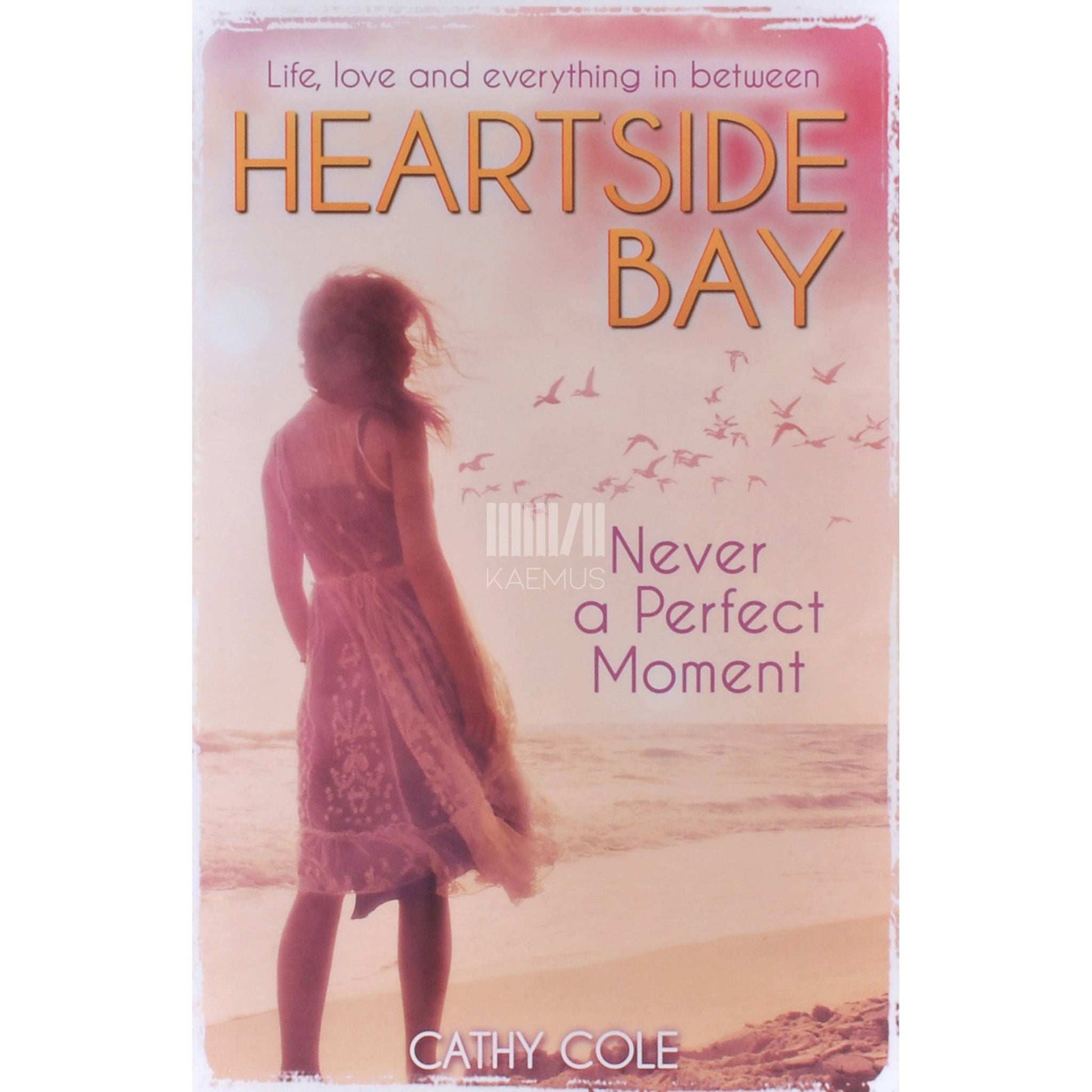 Cathy Cole - Never A Perfect Moment