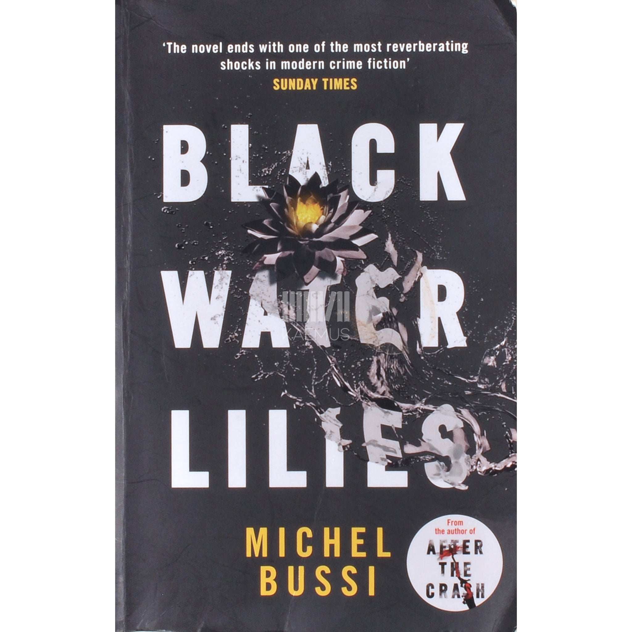 Michel Bussi Black Water Lilies