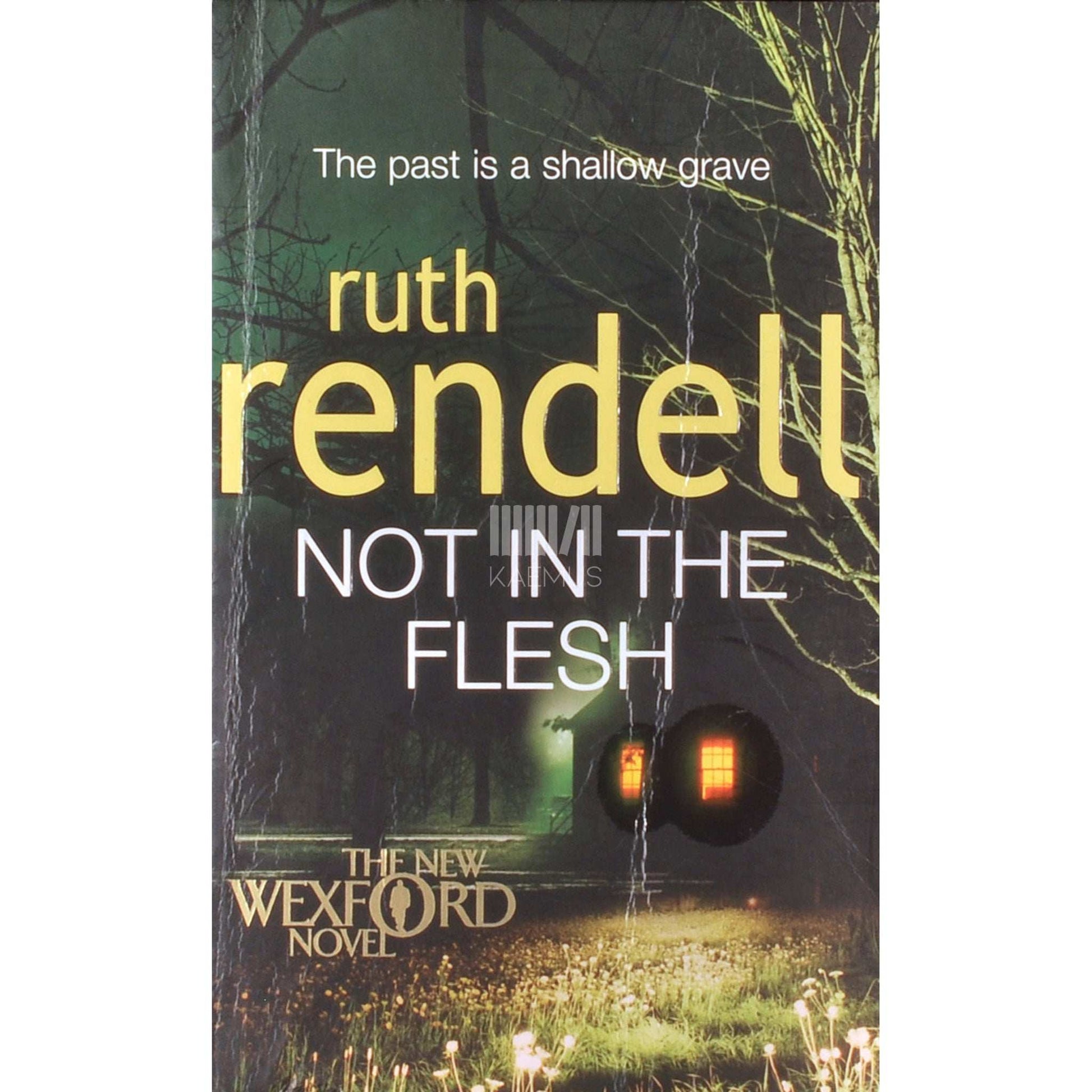 Ruth Rendell - Not In The Flesh