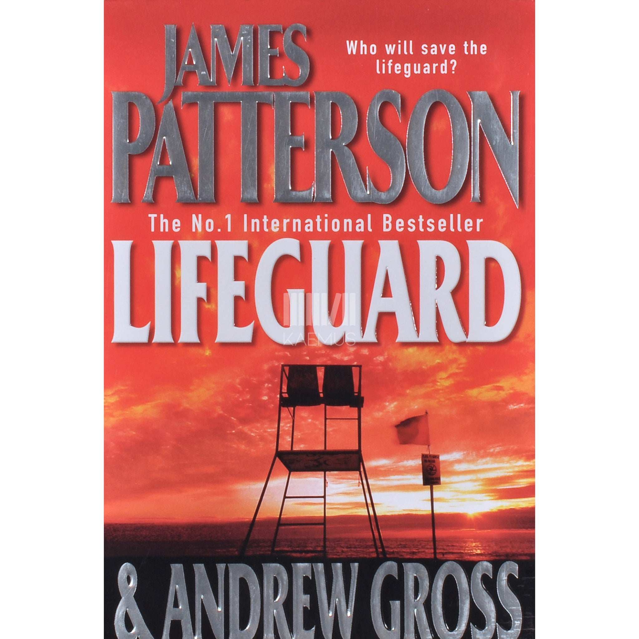 James Patterson; Andrew Gross Lifeguard