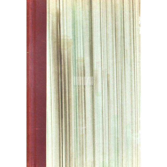 Arvo Mägi - Ringid vees