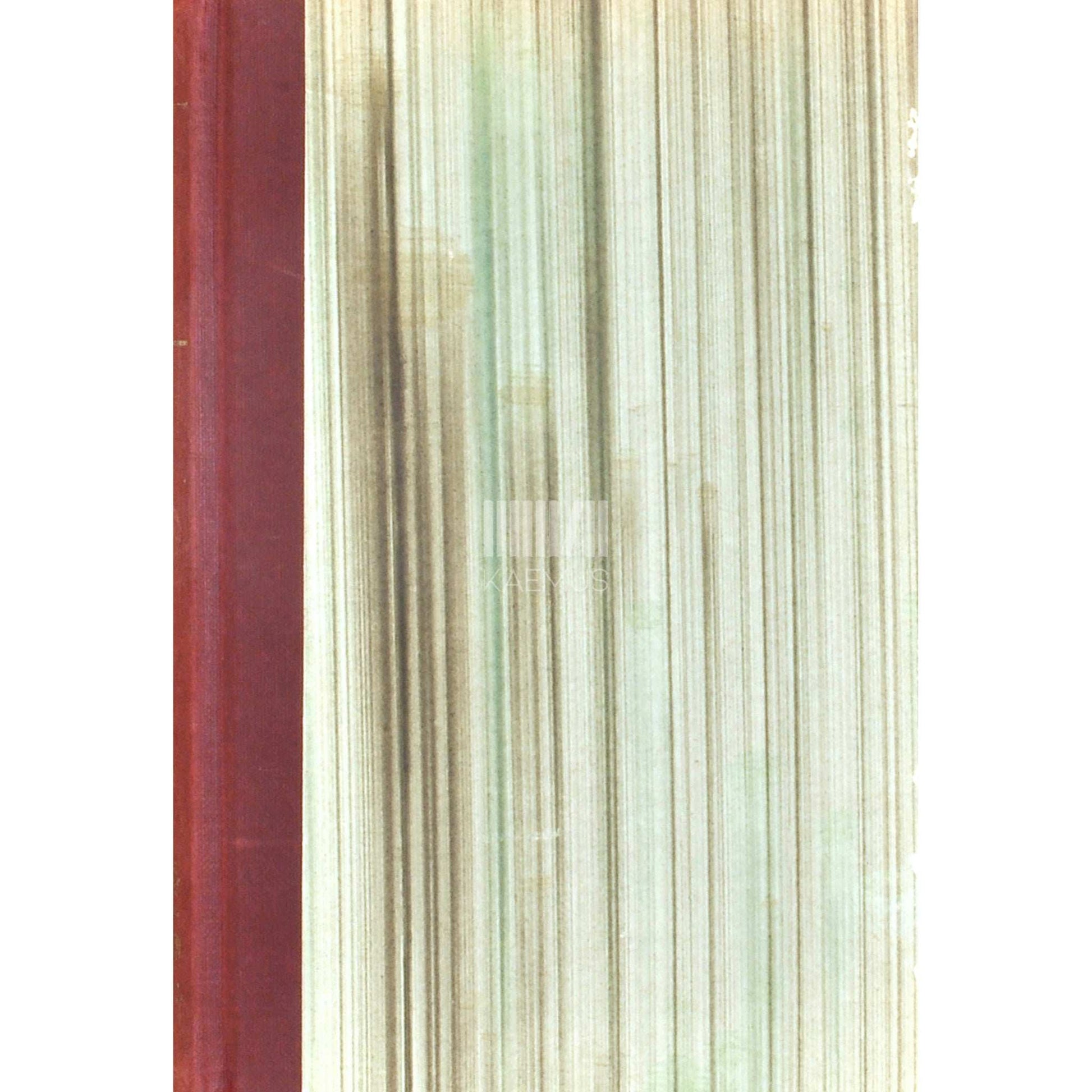 Arvo Mägi - Ringid vees