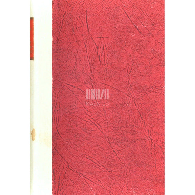 Valev Uibopuu - Kahju läinud aegadest. Miniatuure ja jutustusi