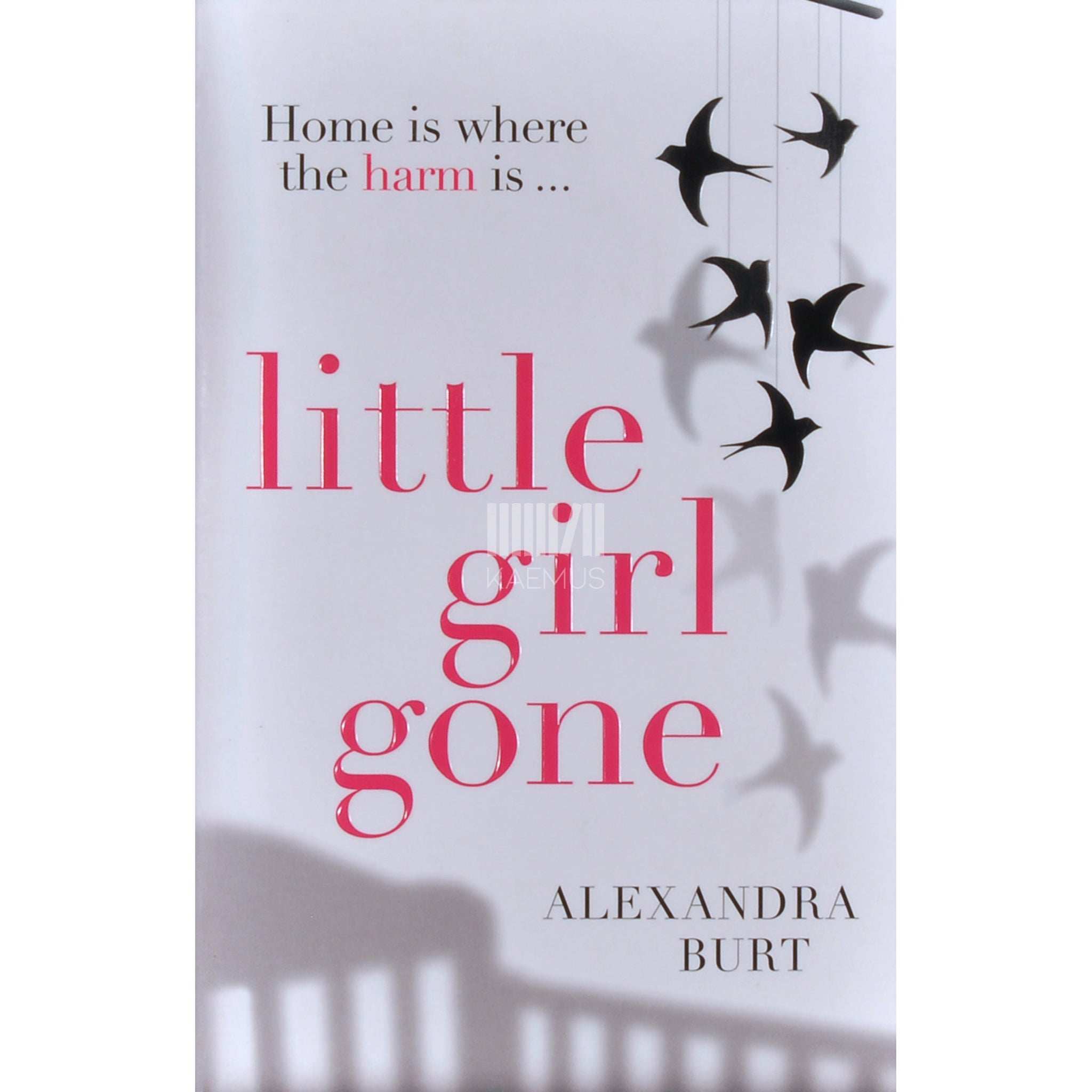 Alexandra Burt Little Girl Gone