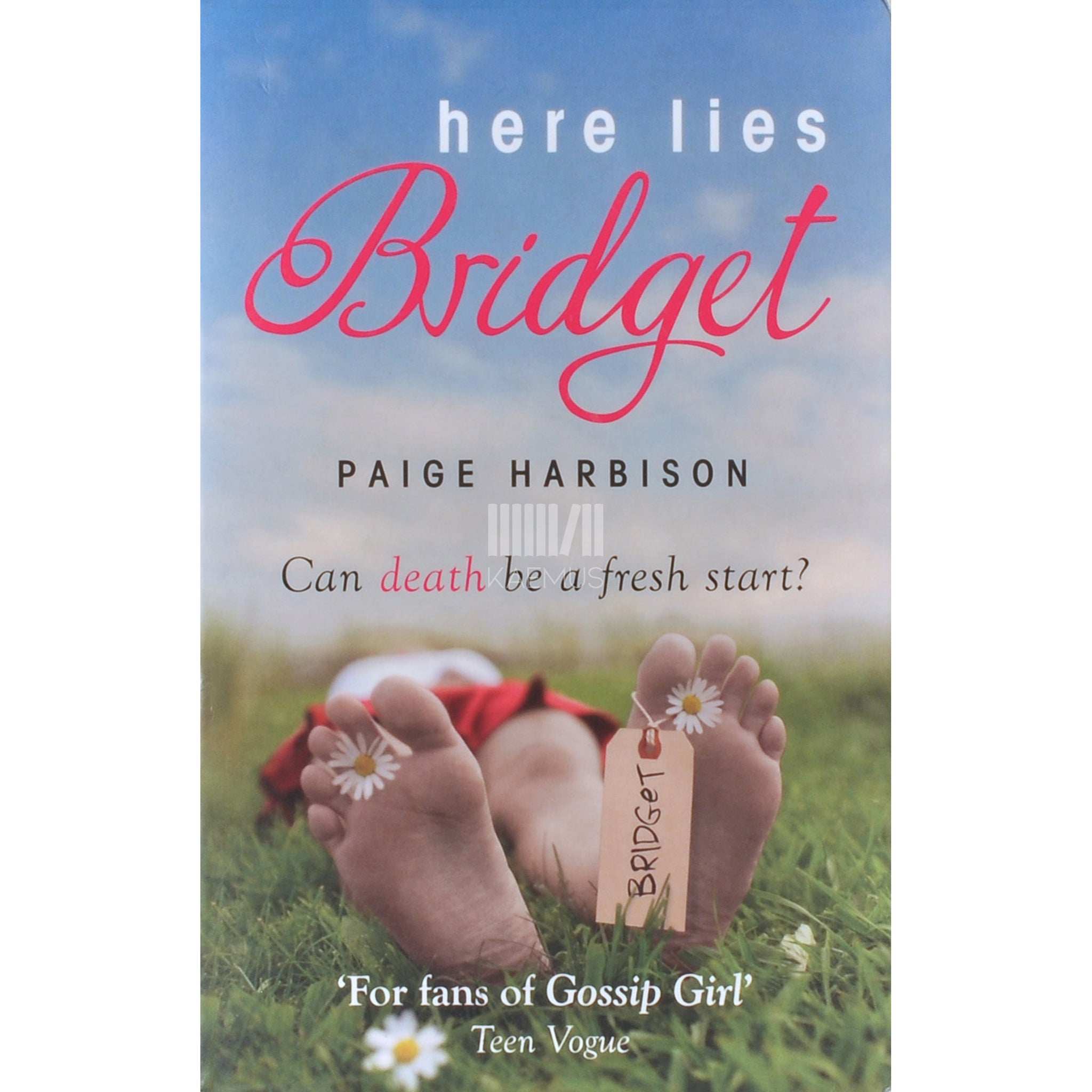 Paige Harbison Here Lies Bridget