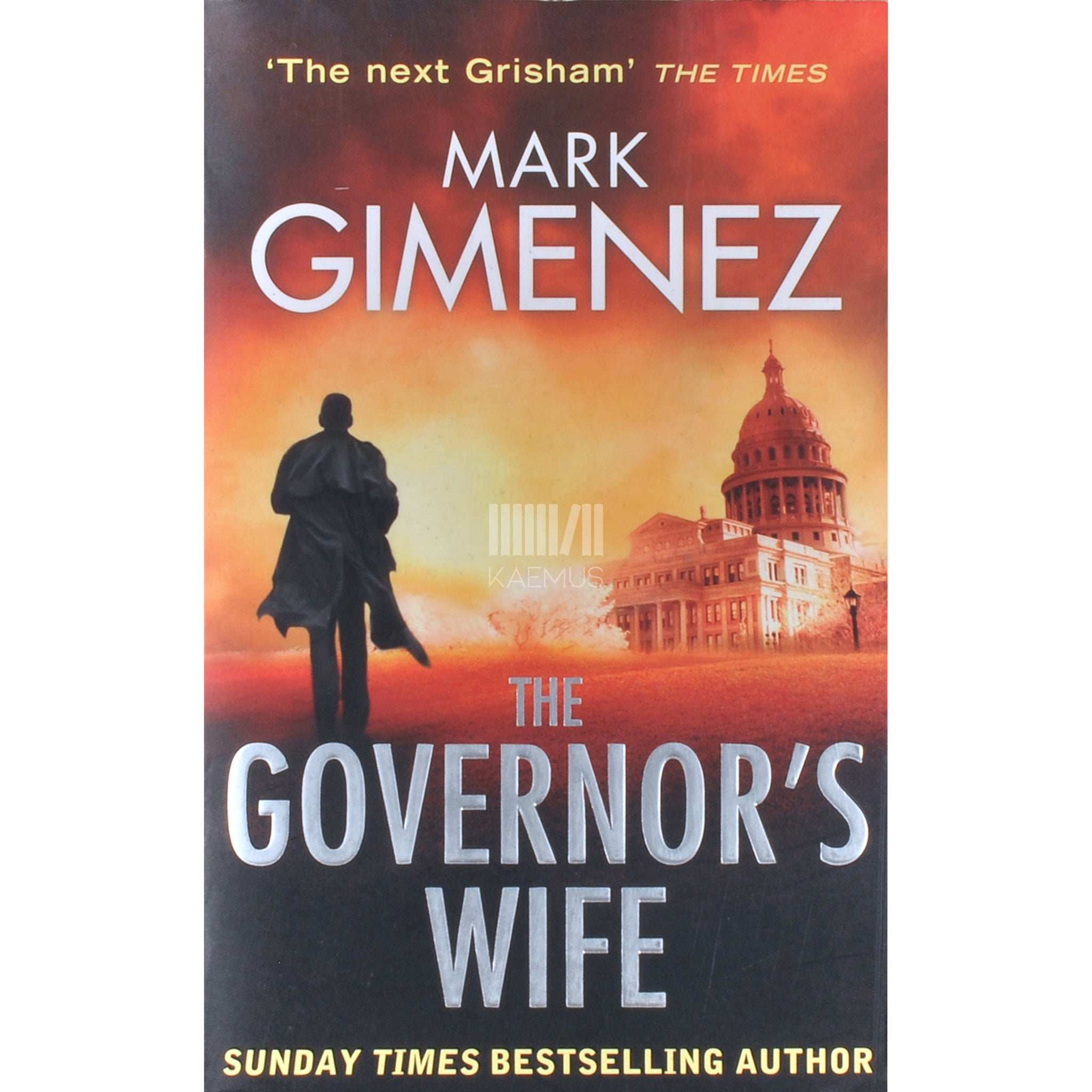 Mark Gimenez The Governor's Wife