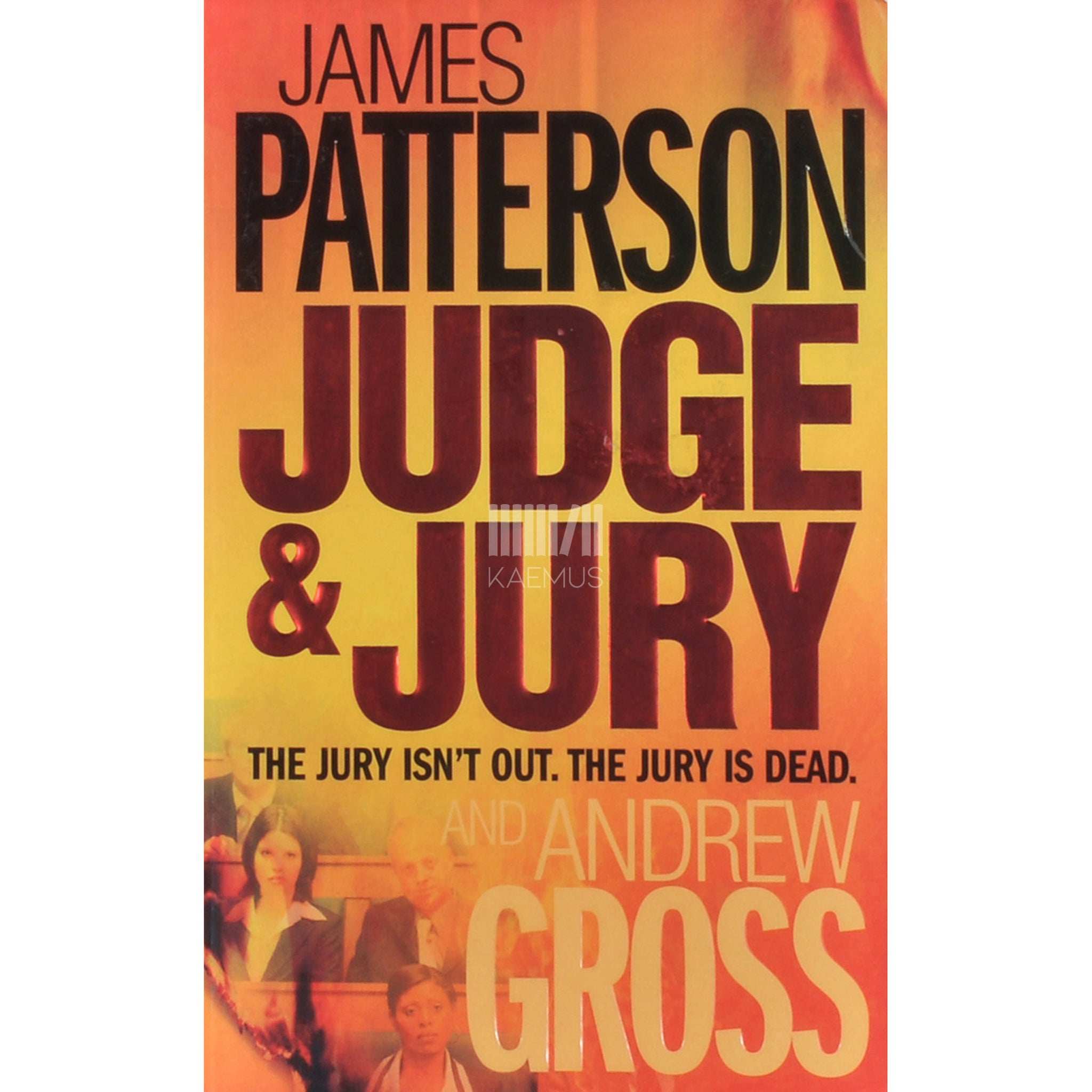 James Patterson; Andrew Gross Judge And Jury