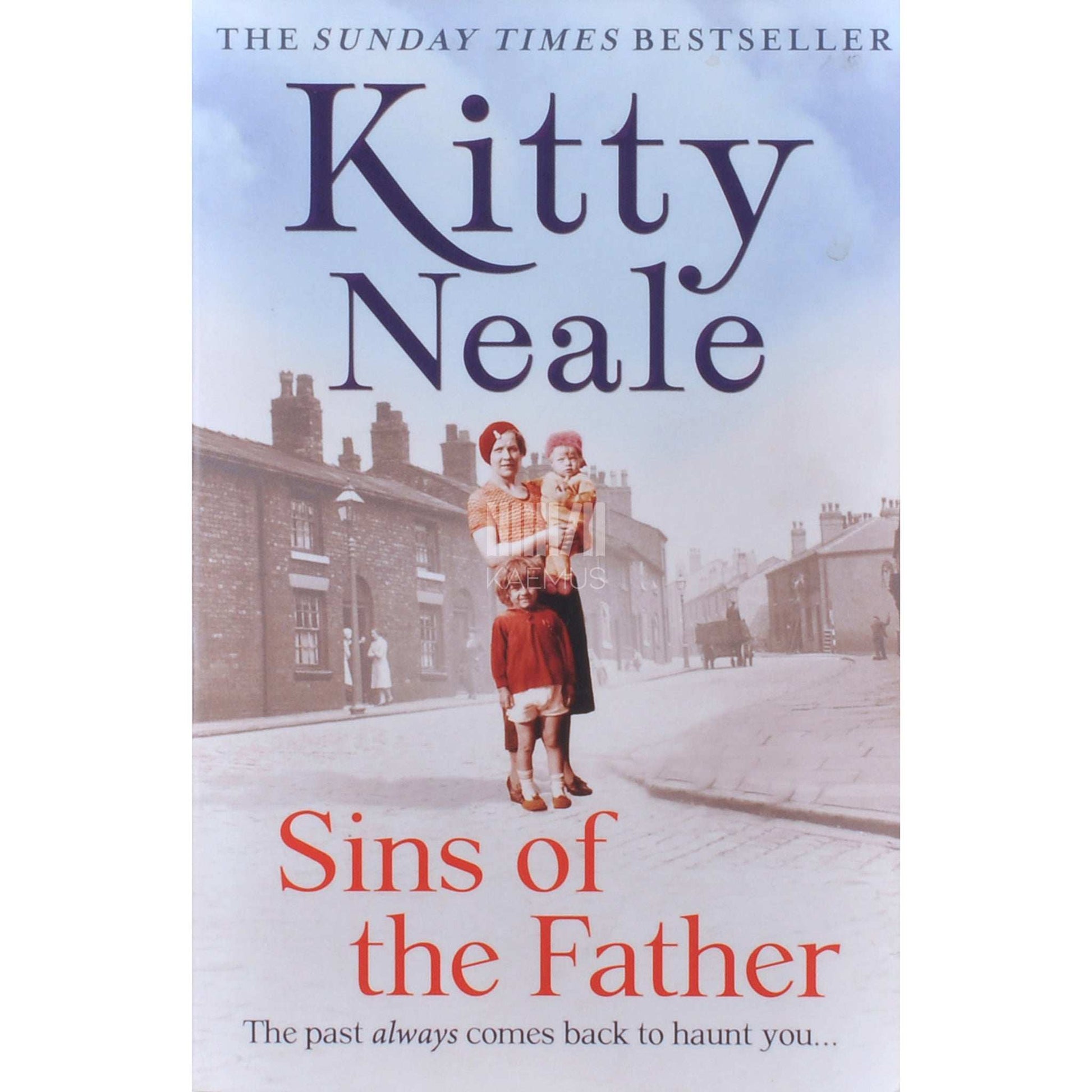 Kitty Neale - Sins Of The Father