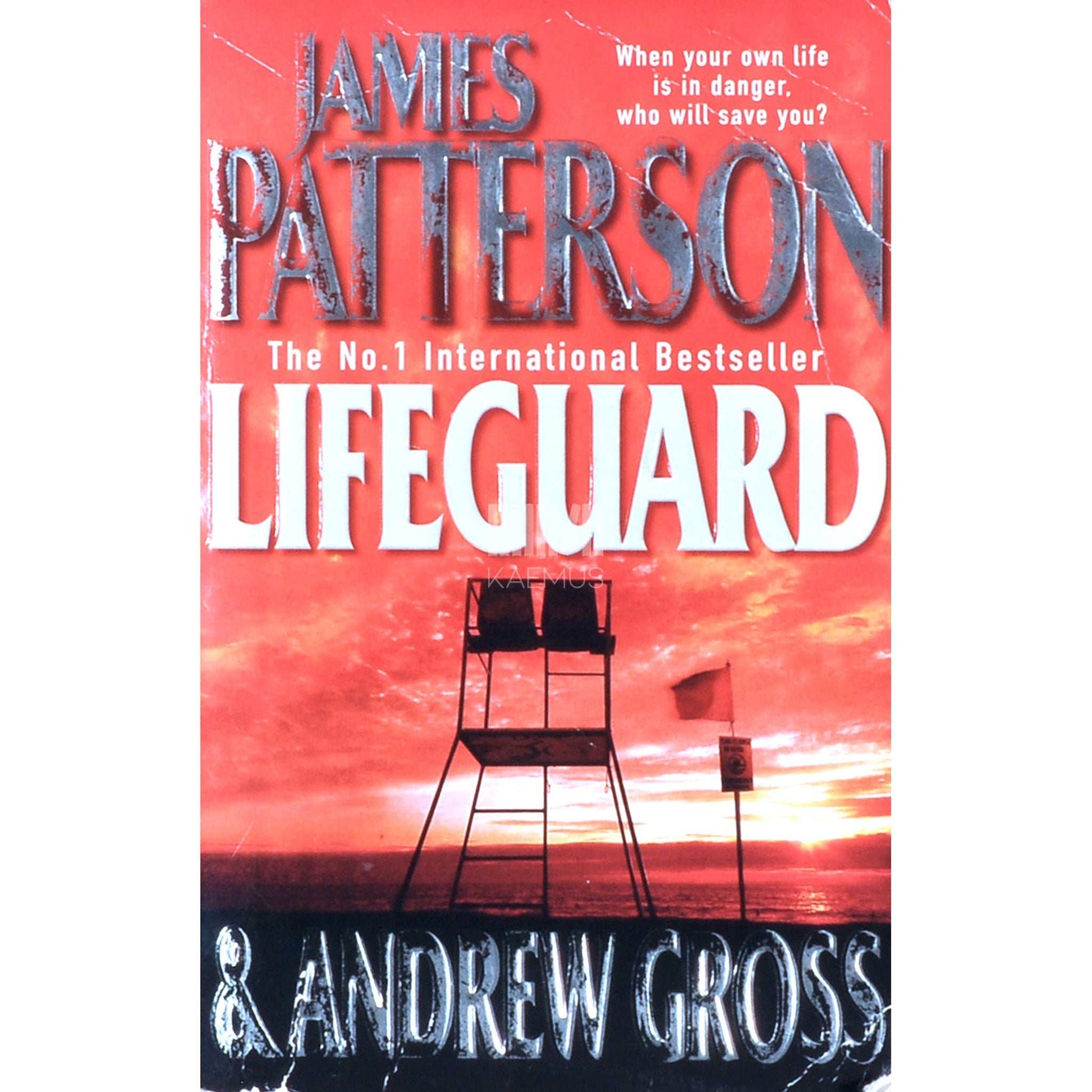 James Patterson with Andrew Gross; Andrew Gross - Lifeguard