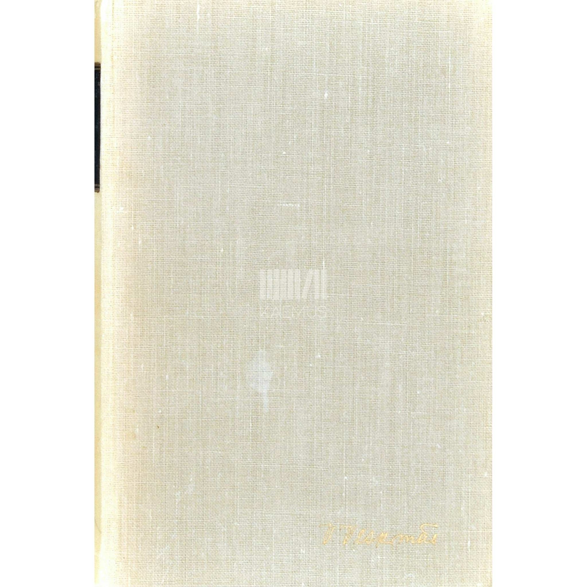 Viktor Veskimäe - Kolmas võimalus