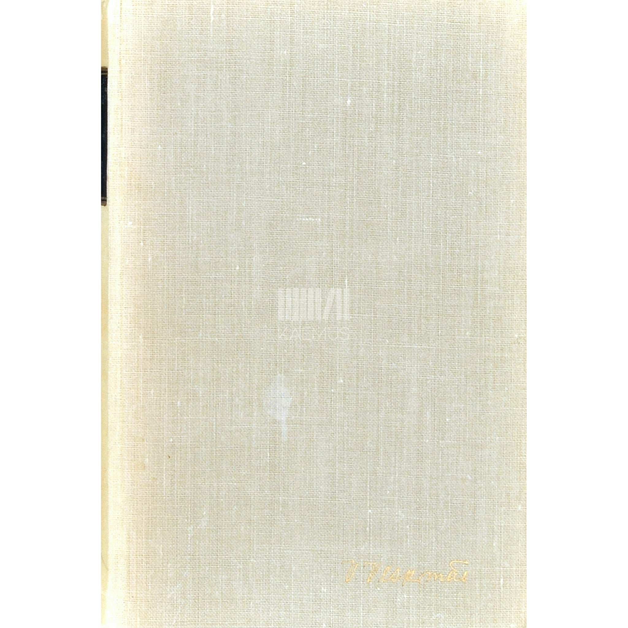 Viktor Veskimäe Kolmas võimalus