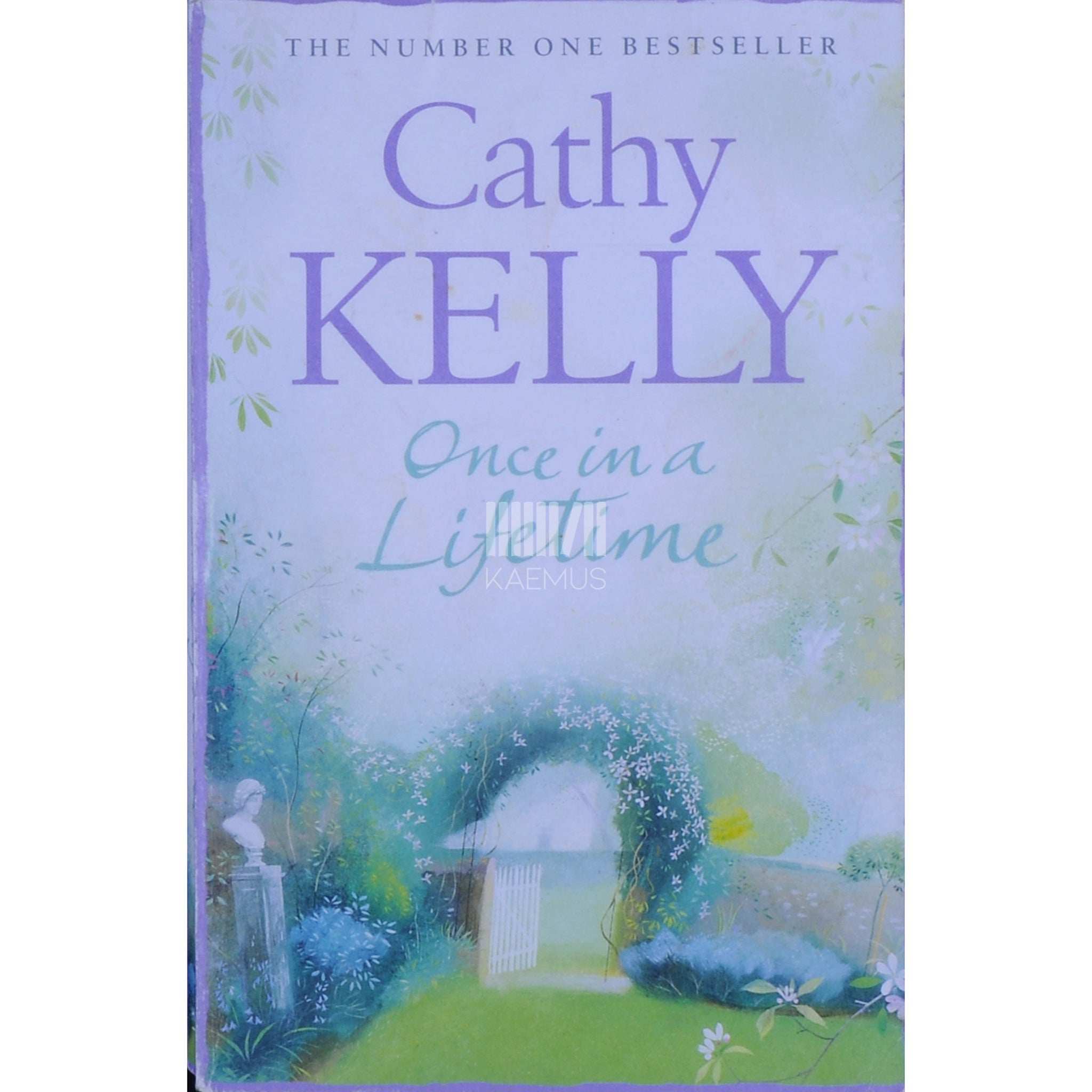 Cathy Kelly Once In A Lifetime