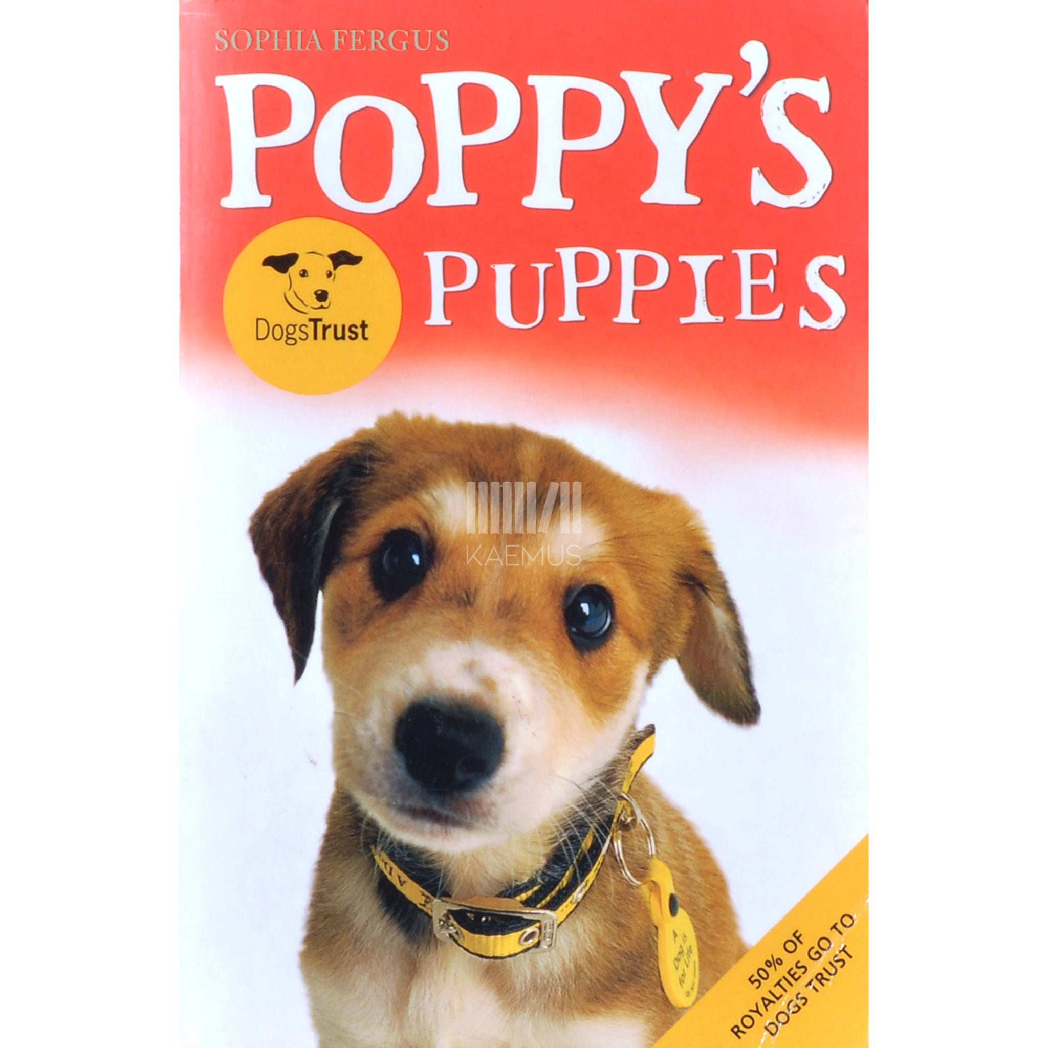 Sophia Fergus Poppy's Dogs Trust Puppies