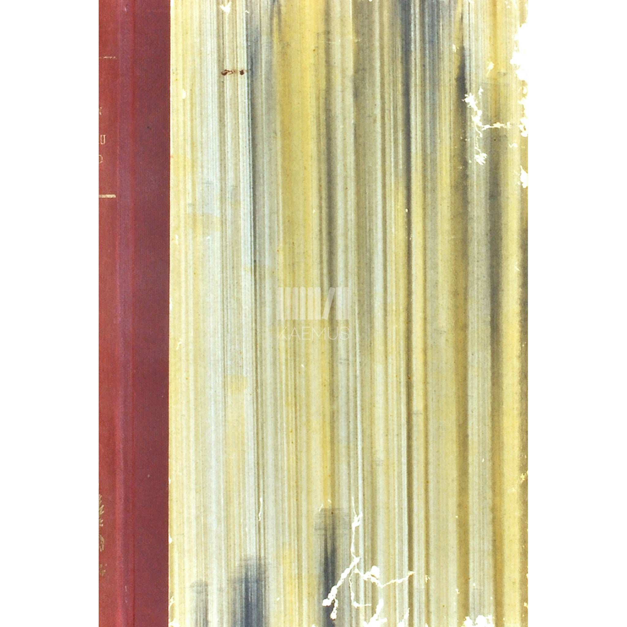 Aino Thoen Igaviku veskid