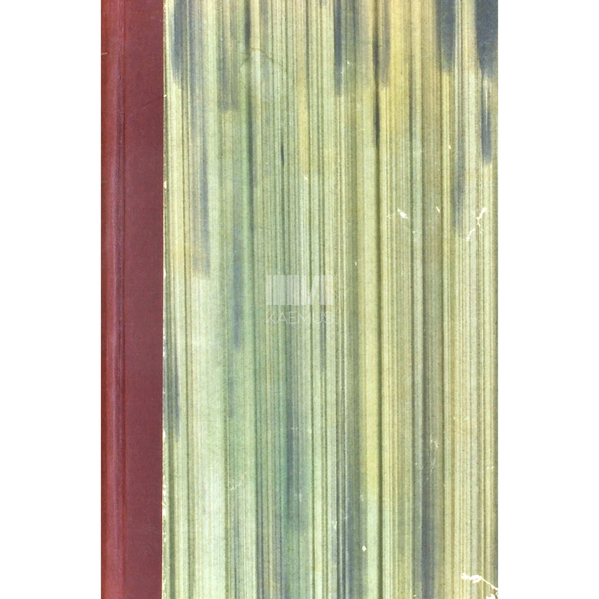 Ilmar Talve Maja lumes. Teema variatsioonidega