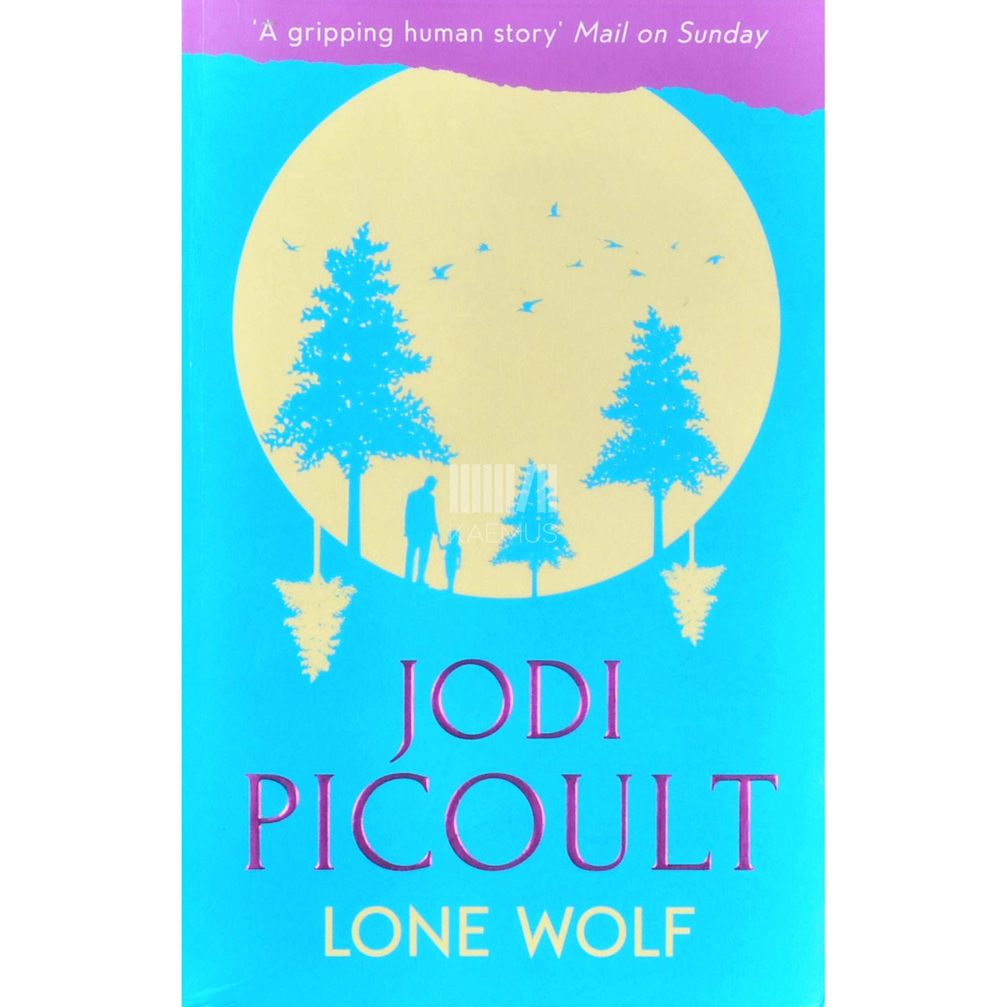 Jodi Picoult Lone Wolf