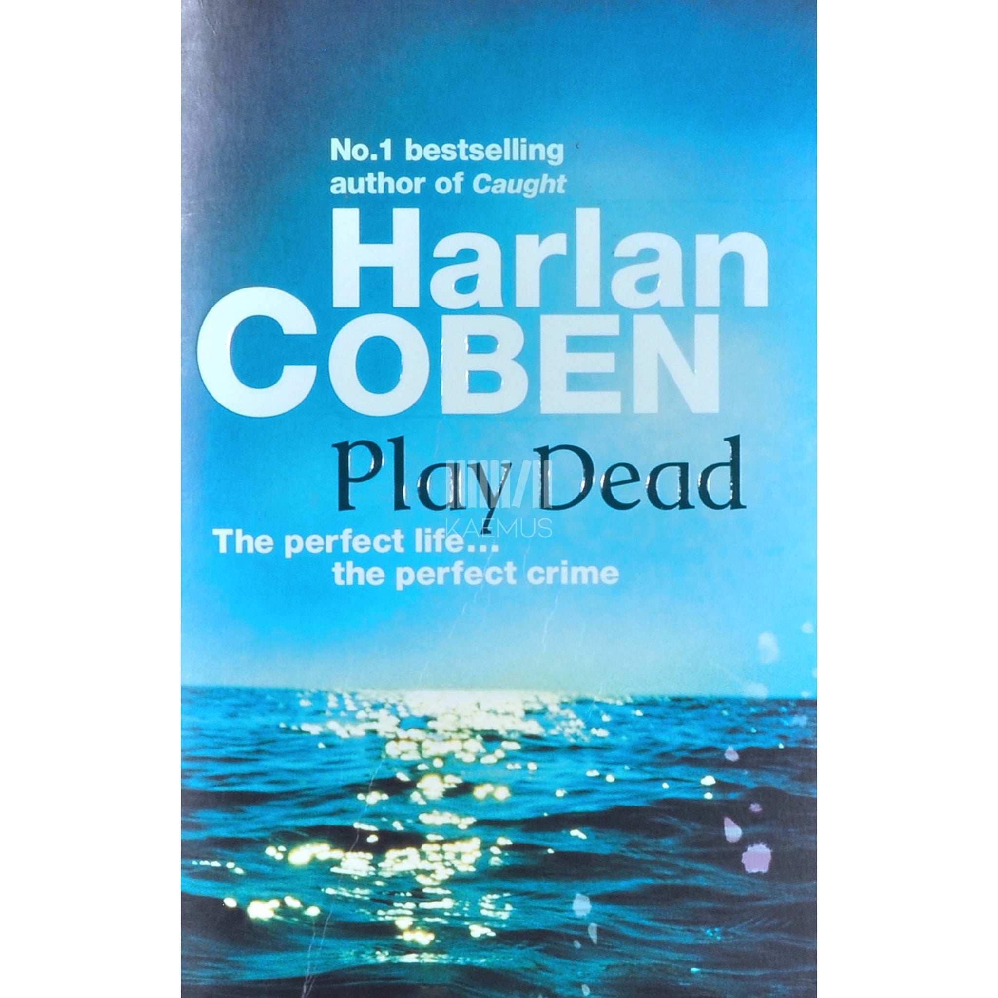 Harlan Coben Play Dead