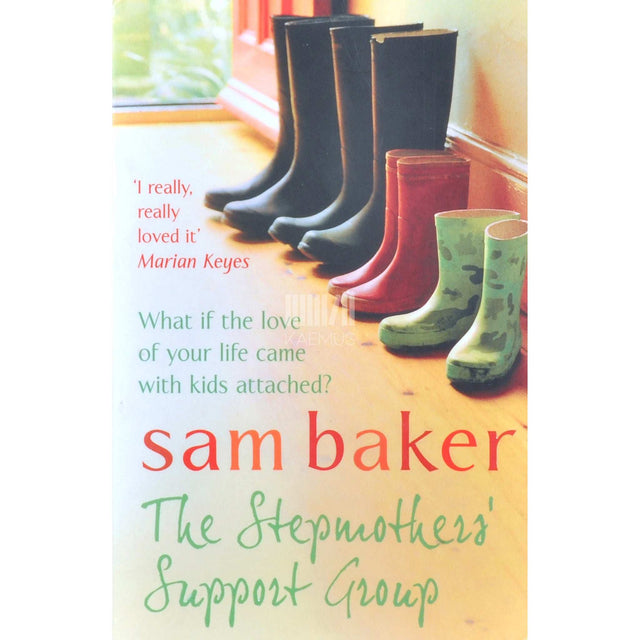 Sam Baker - The Stepmothers' Support Group