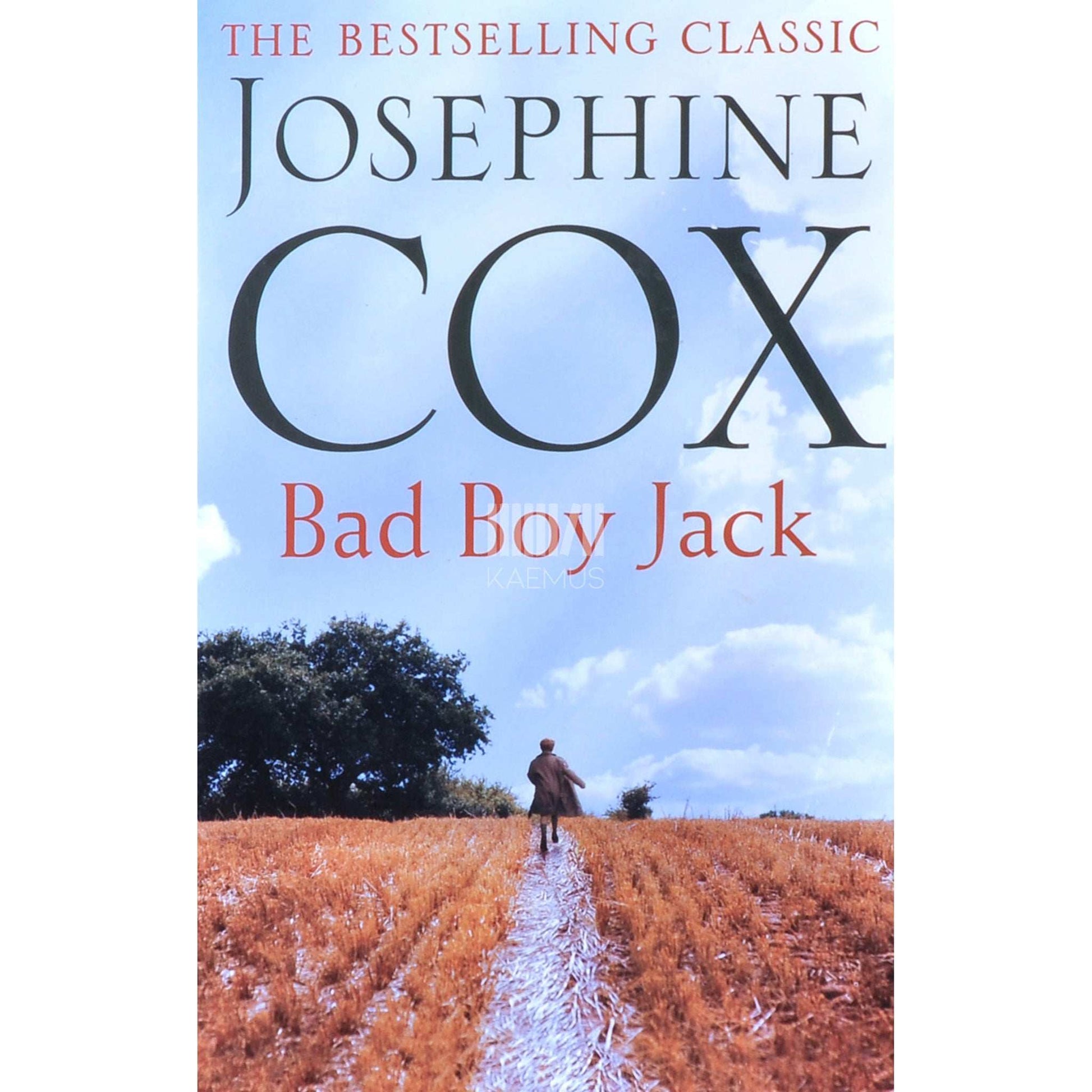 Josephine Cox - Bad Boy Jack