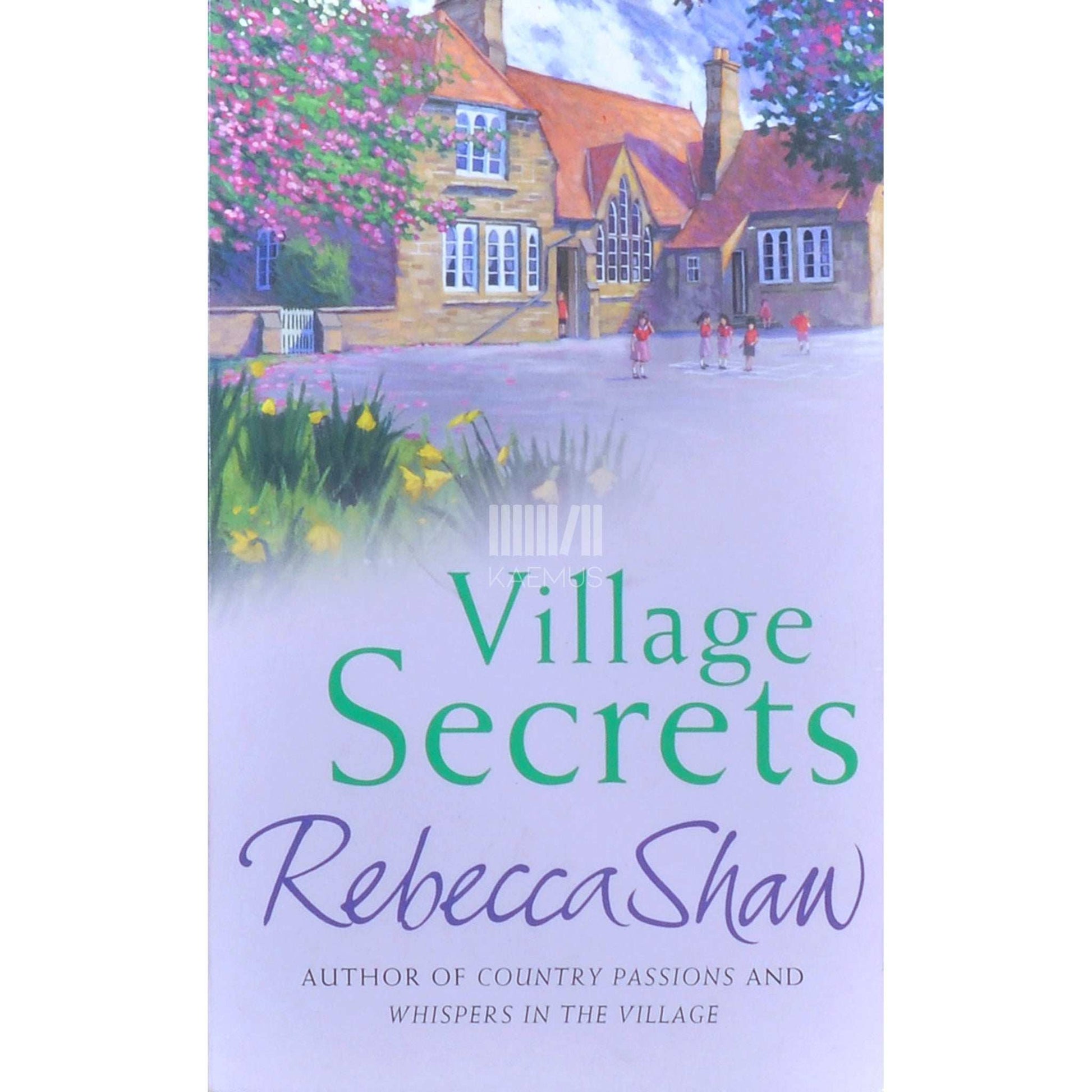 Rebecca Shaw - Village Secrets