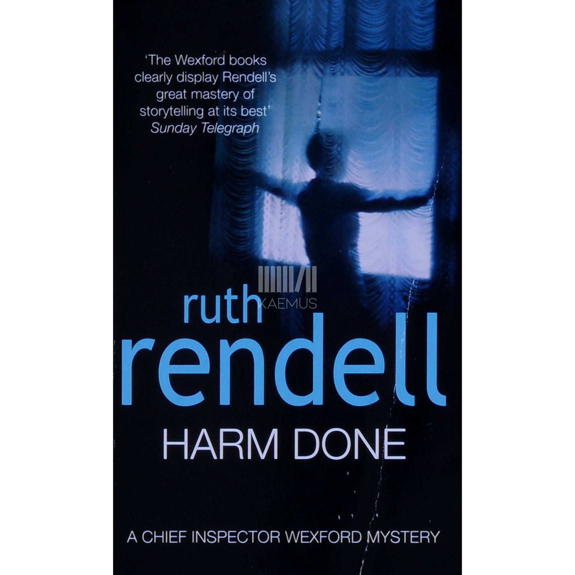 Ruth Rendell - Harm Done