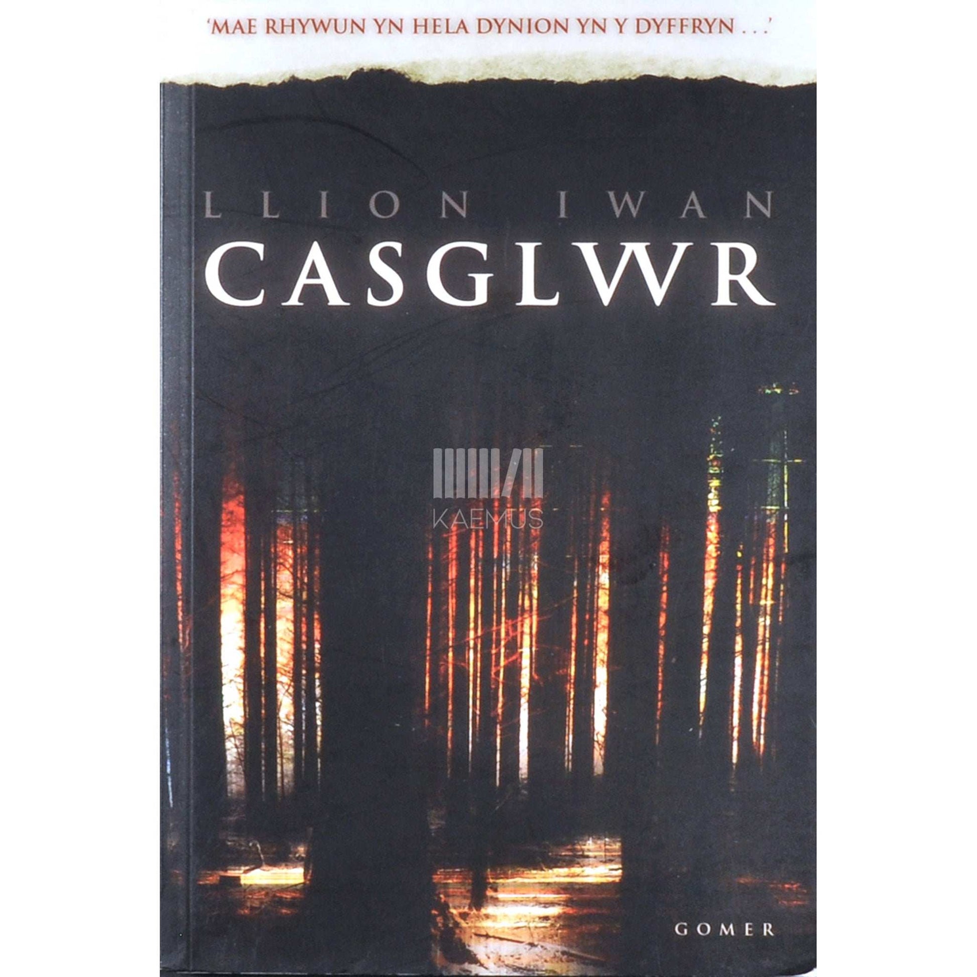 Llion Iwan - Casglwr