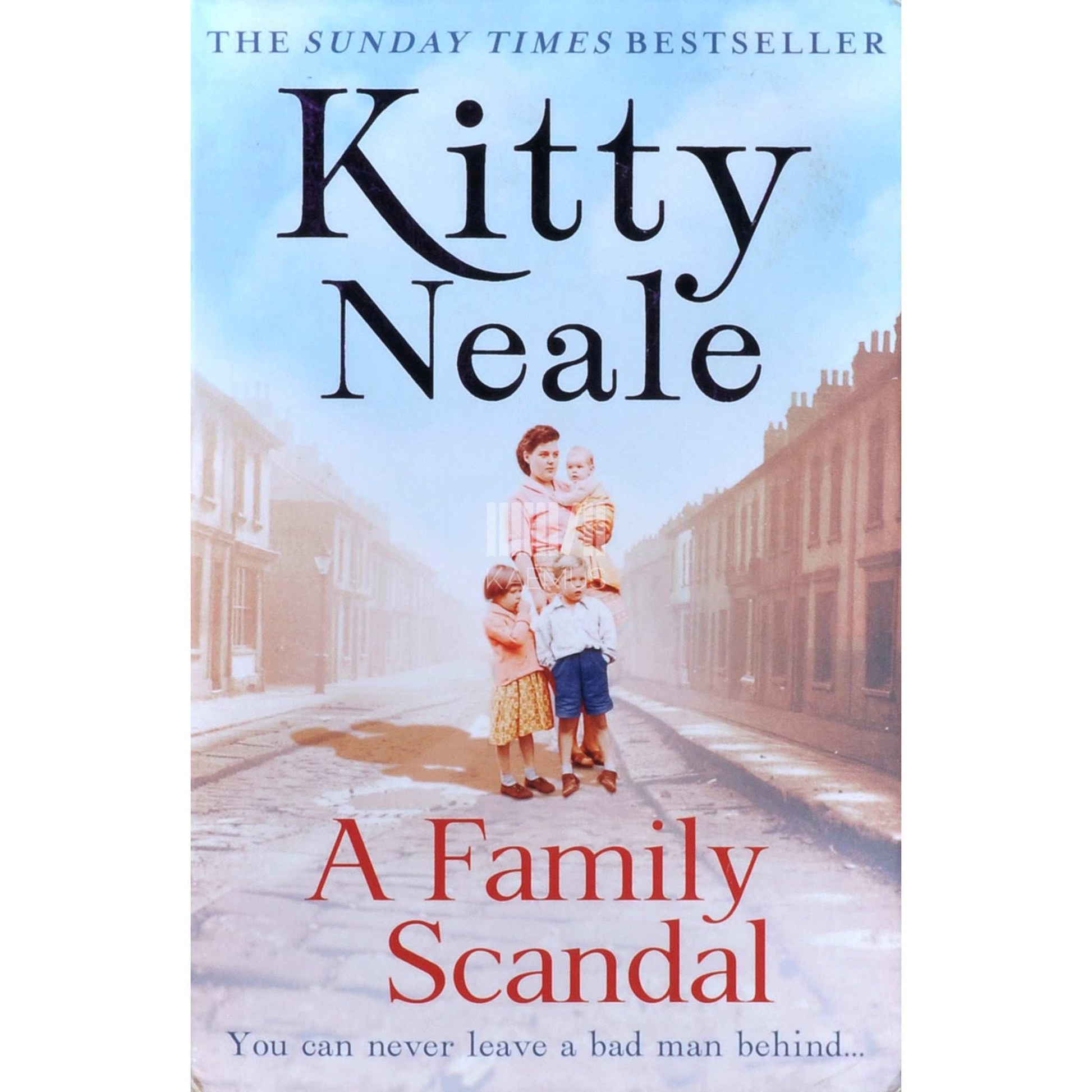 Kitty Neale - A Family Scandal
