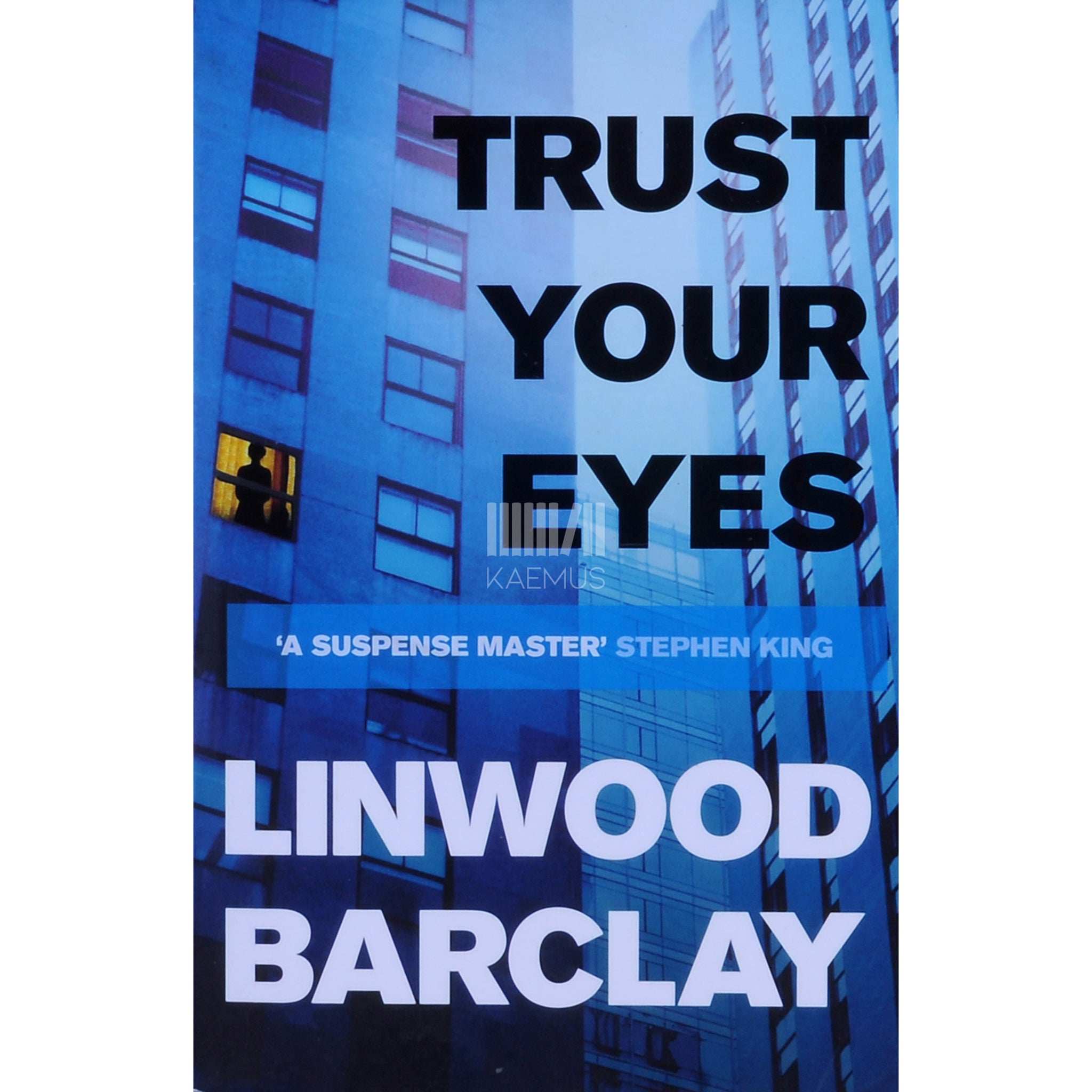 Linwood Barclay Trust Your Eyes
