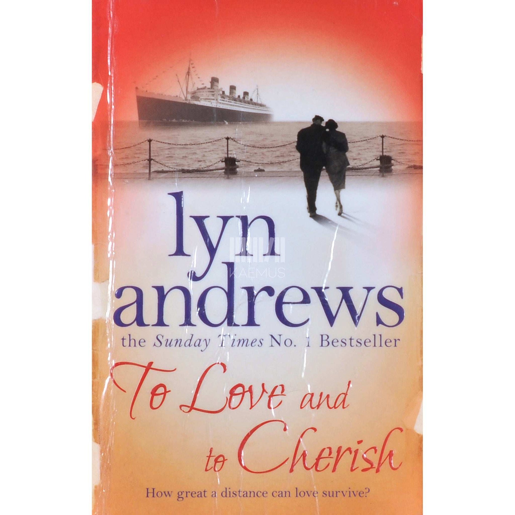 Lyn Andrews - To Love And To Cherish