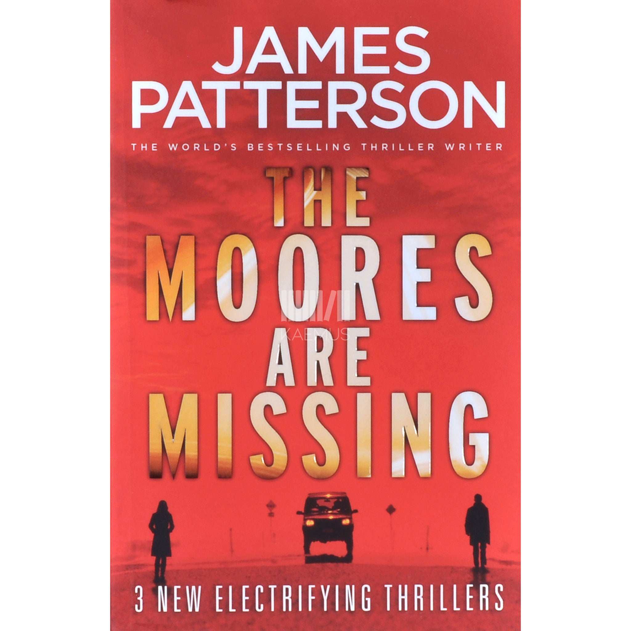 James Patterson The Moores Are Missing