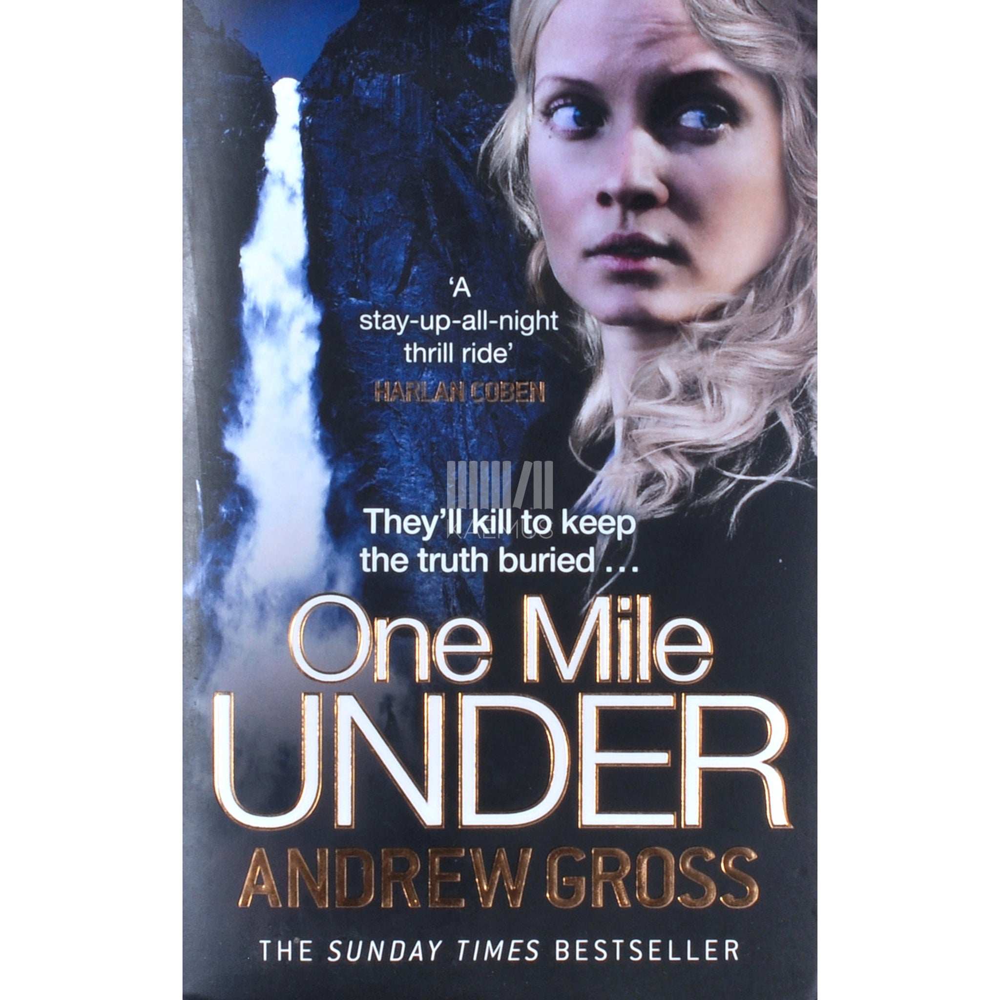 Andrew Gross One Mile Under