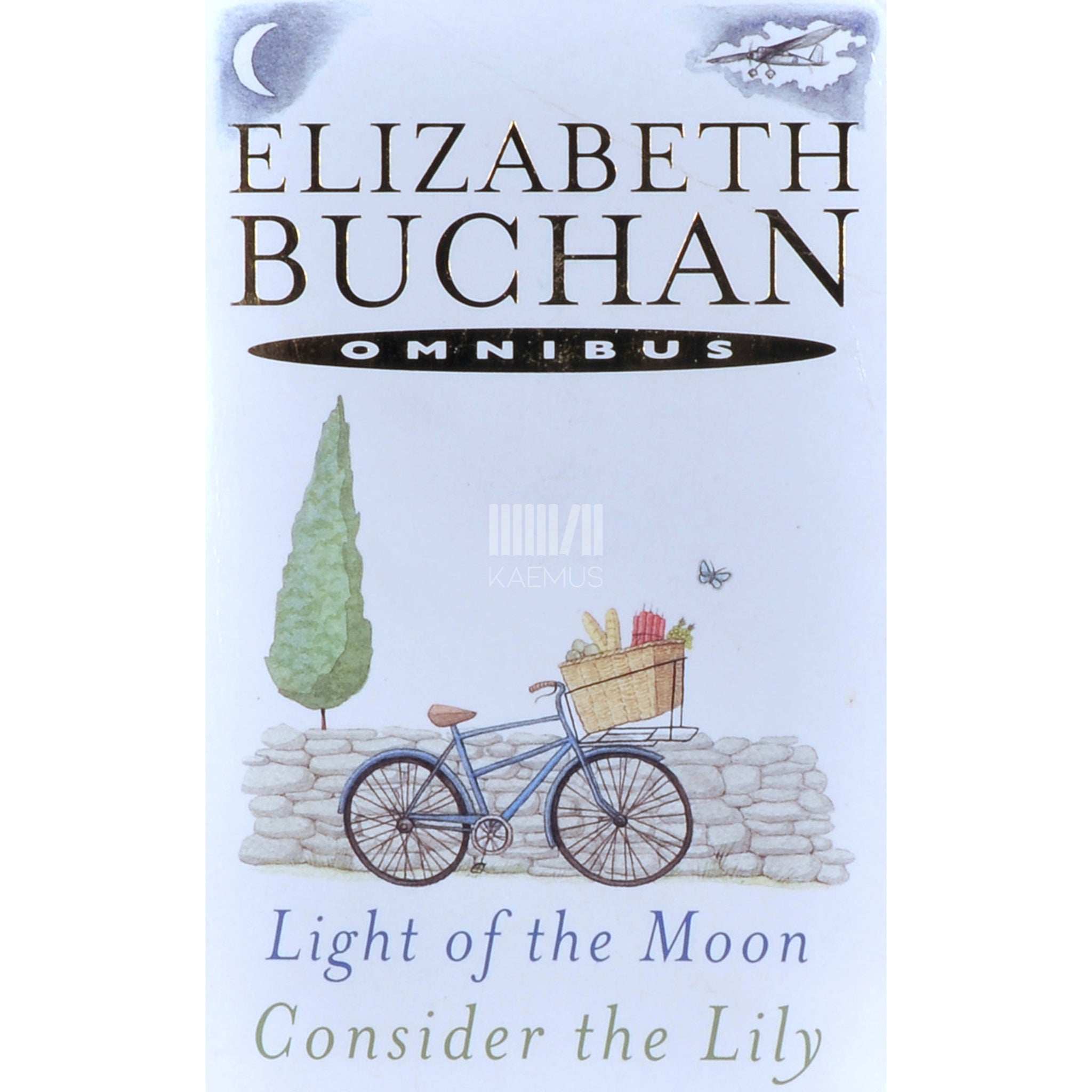 Elizabeth Buchan Light Of The Moon / Consider The Lily