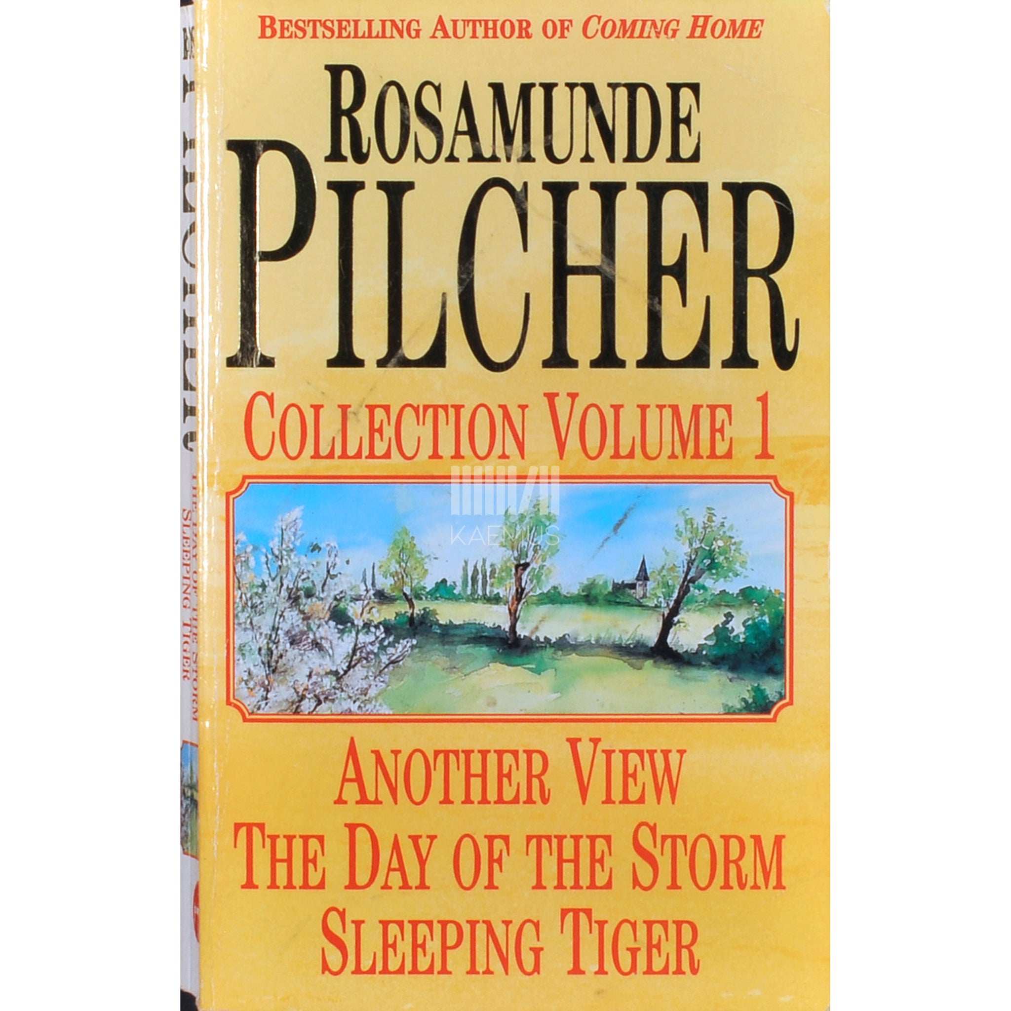 Rosamunde Pilcher Day Of The Storm. Another View. Sleeping Tiger