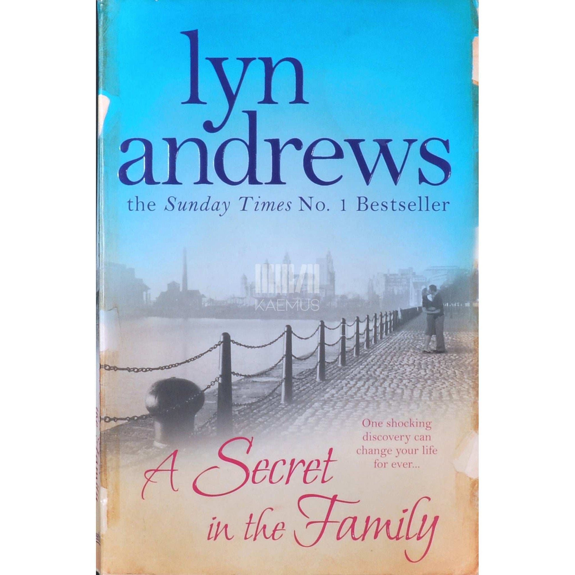 Lyn Andrews - A Secret In The Family