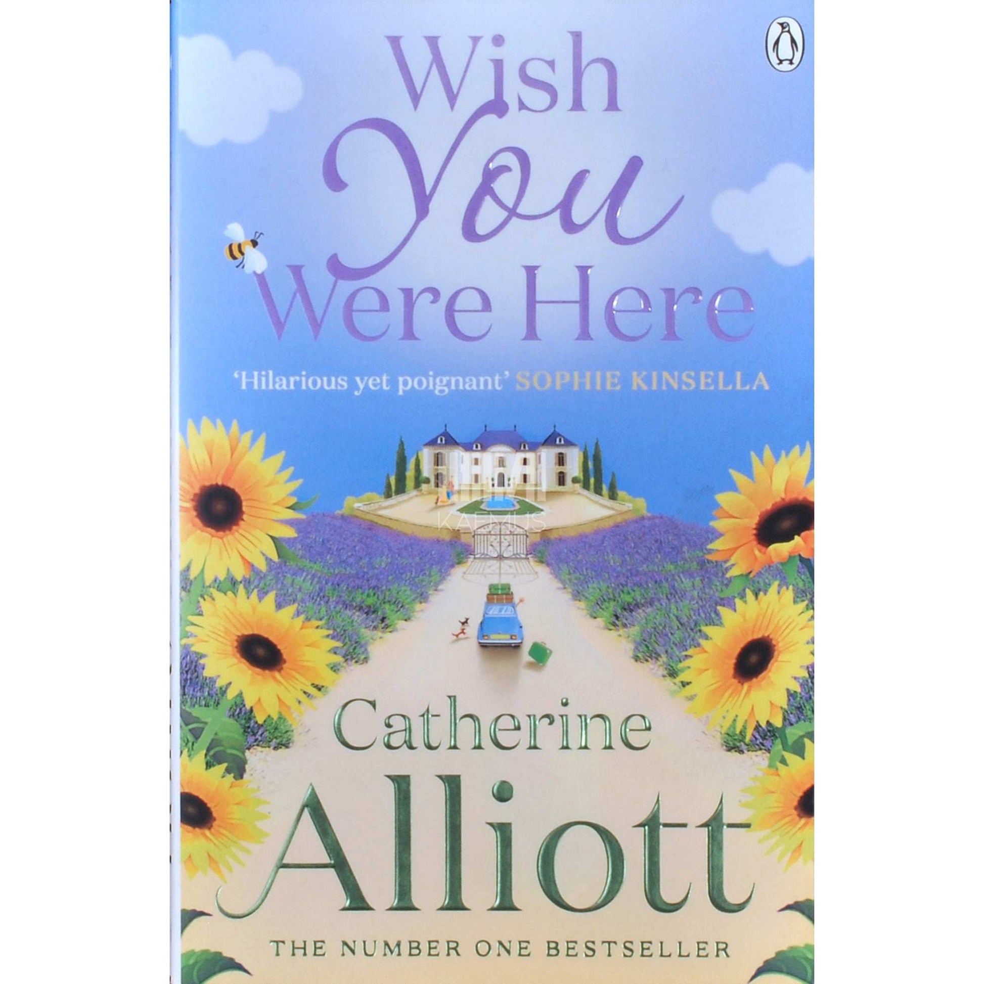 Catherine Alliott - Wish You Were Here