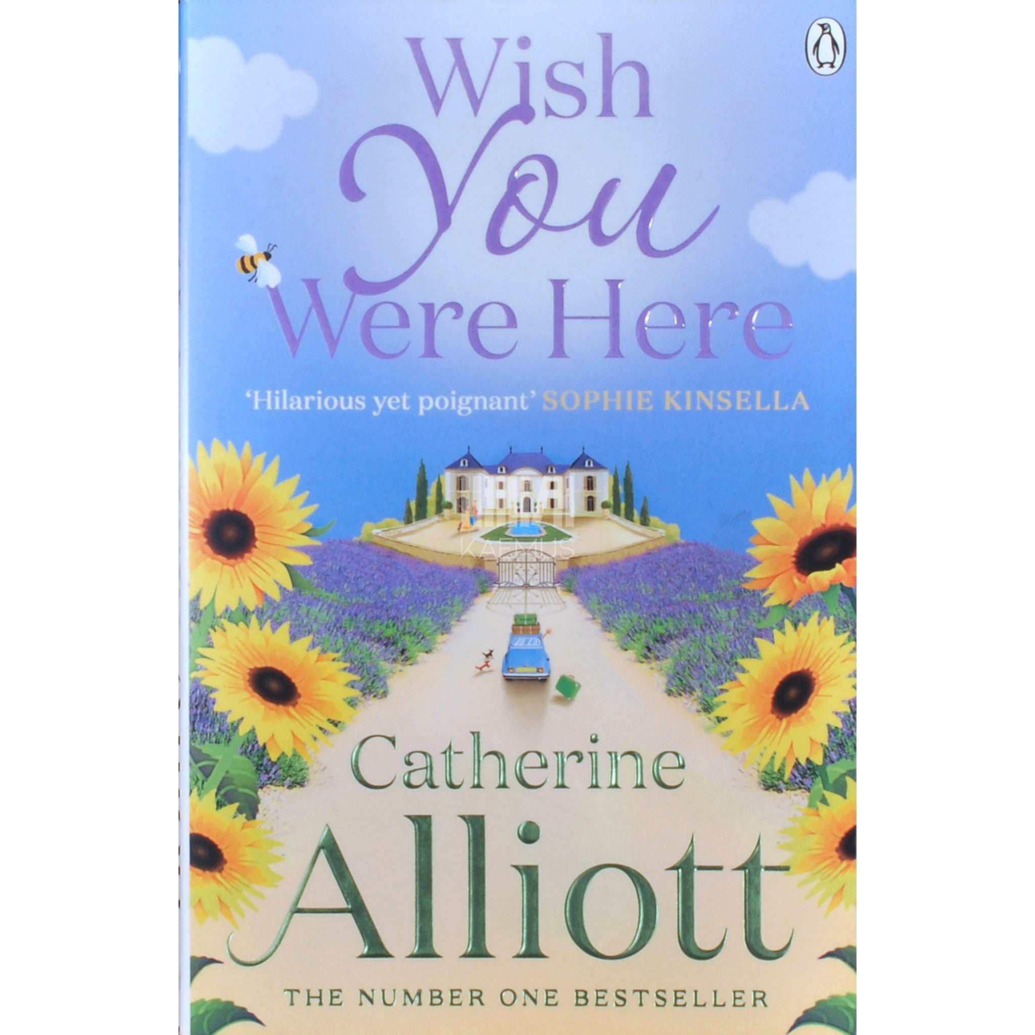 Catherine Alliott Wish You Were Here