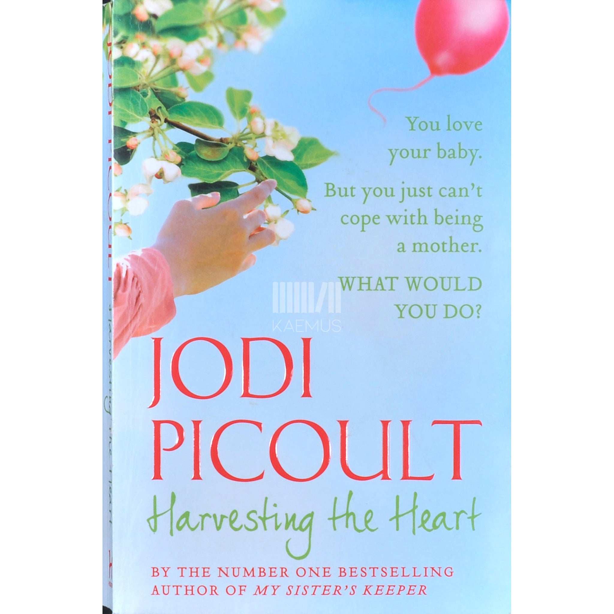 Jodi Picoult Harvesting The Heart