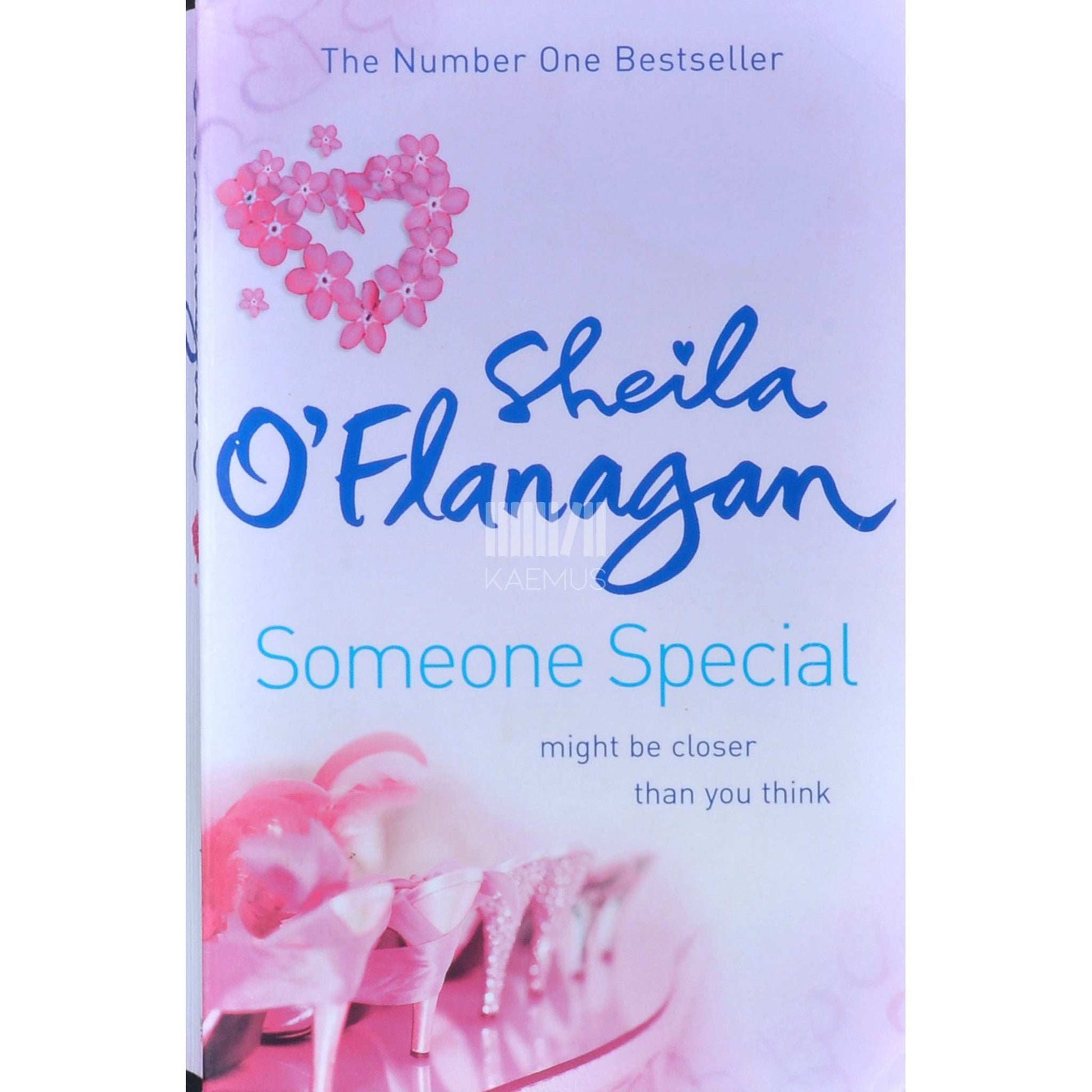 Sheila O'Flanagan - Someone Special