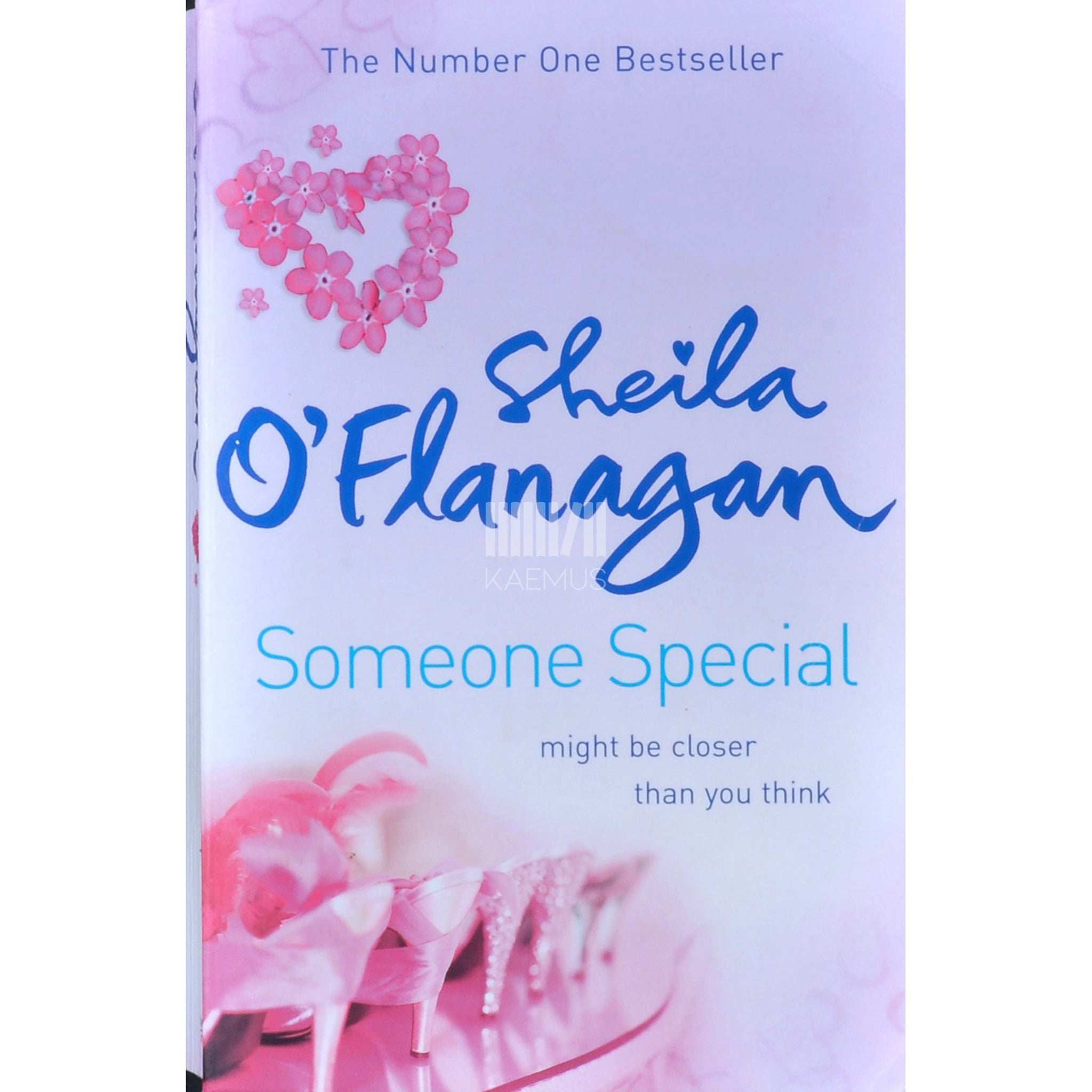 Sheila O'Flanagan Someone Special