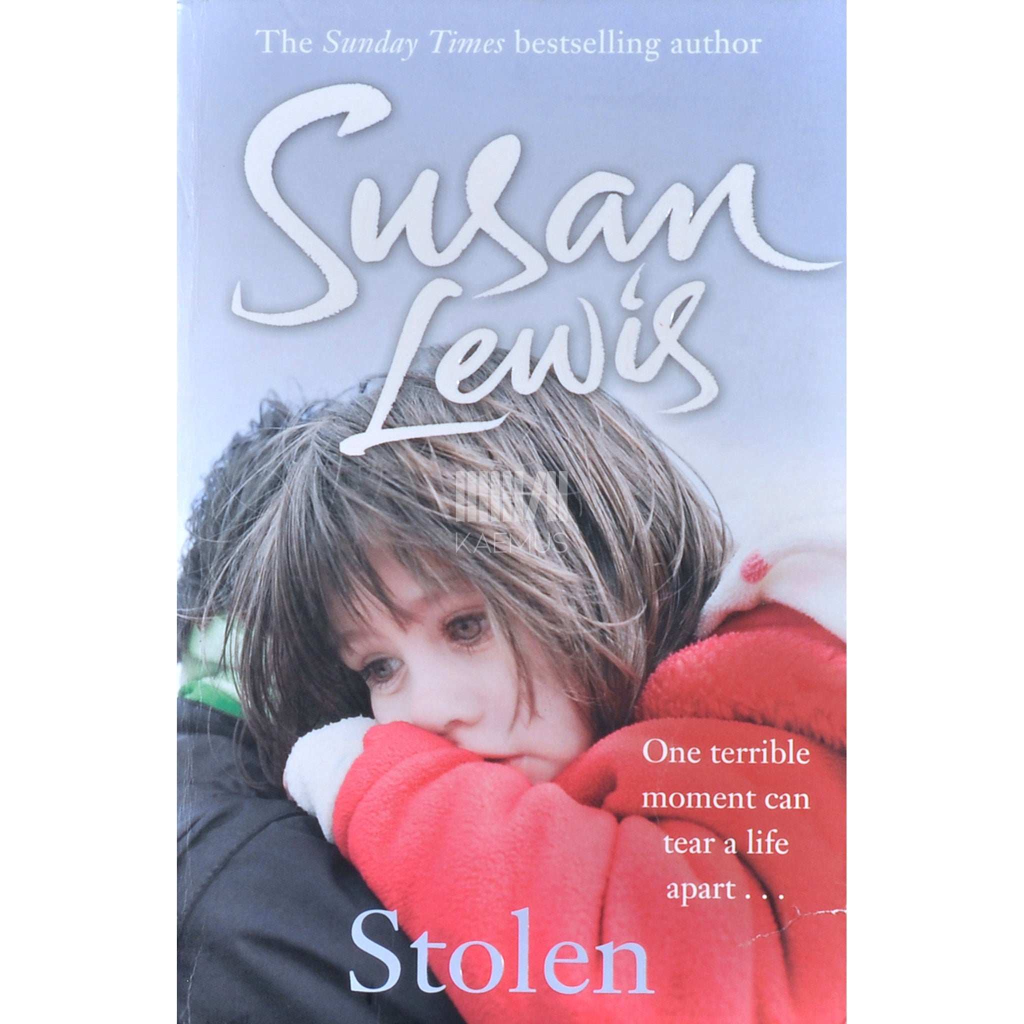 Susan Lewis Stolen