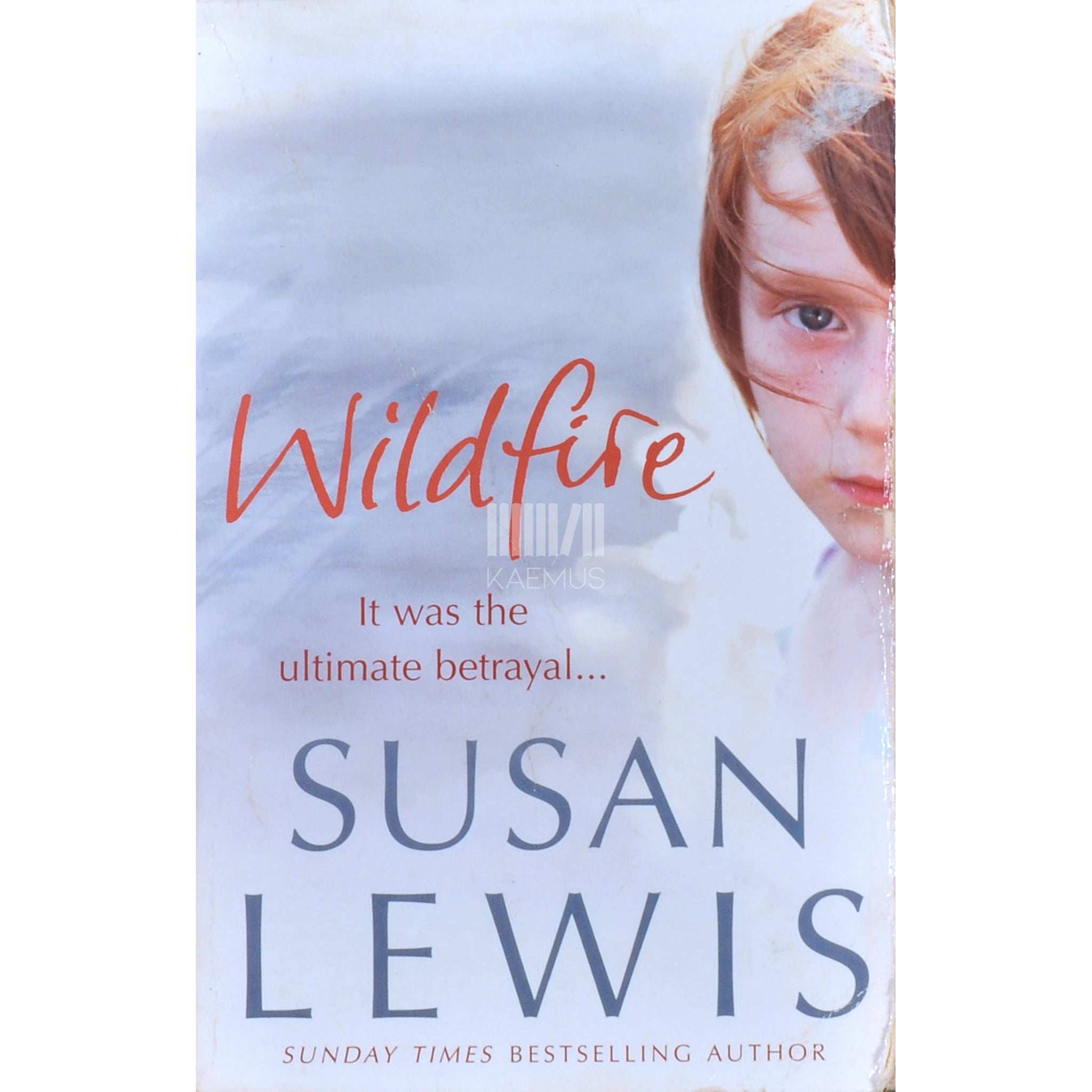 Susan Lewis Wildfire