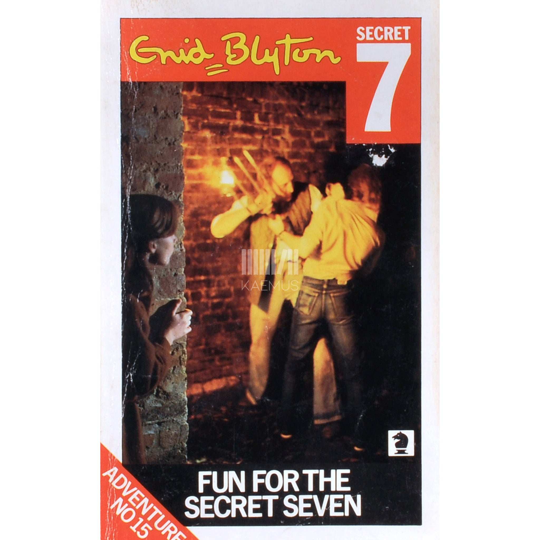 Enid Blyton Fun For The Secret Seven