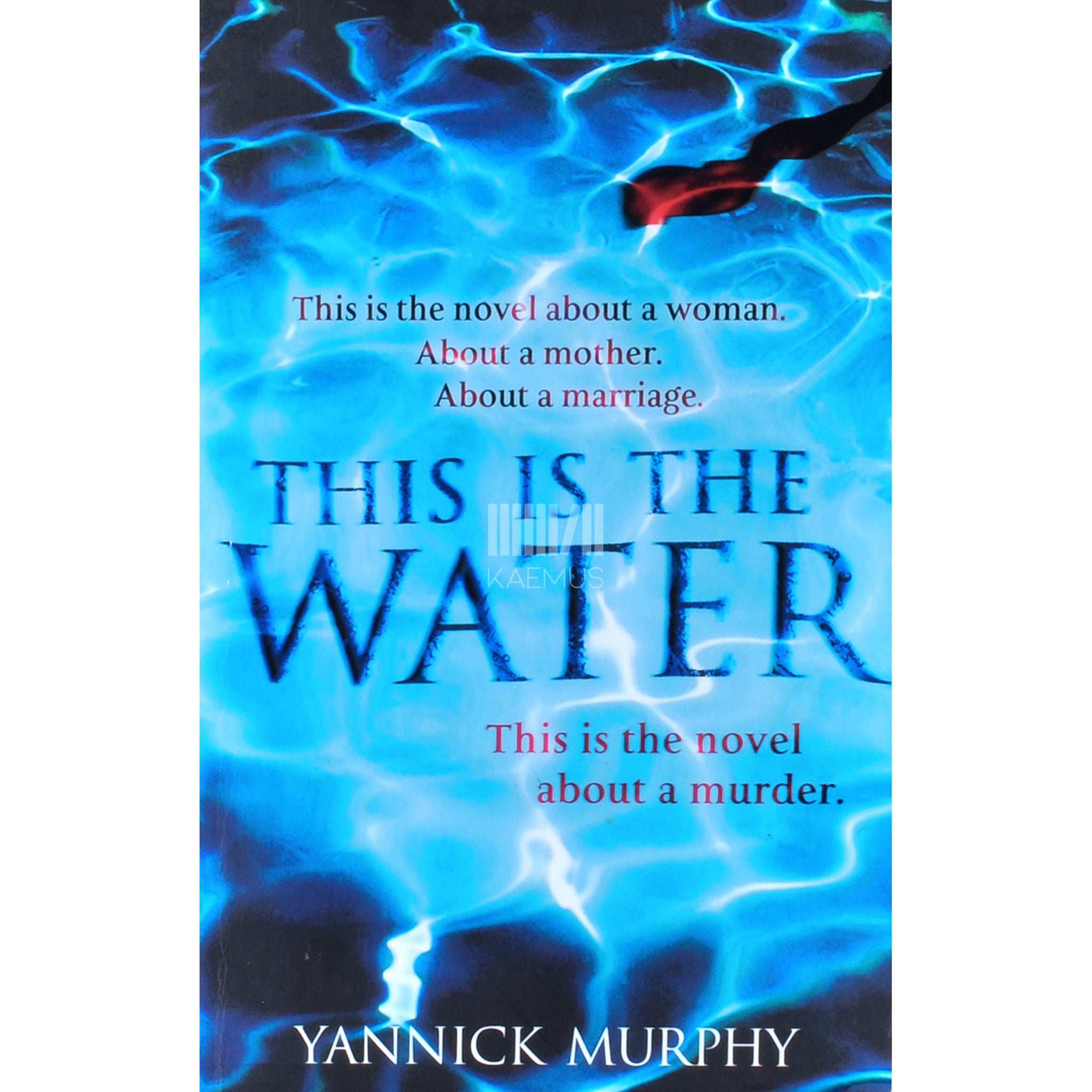 Yannick Murphy This Is The Water